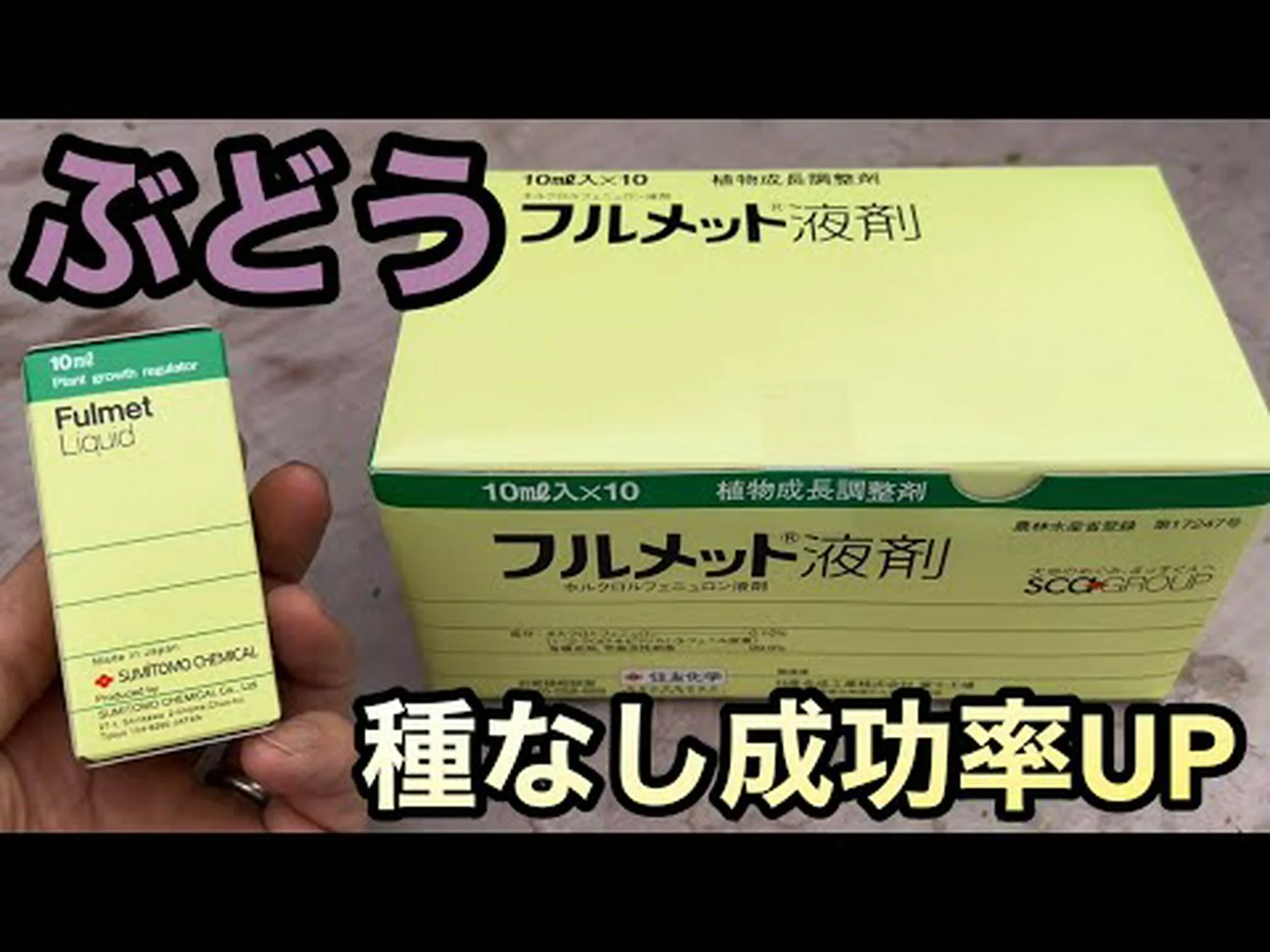 種なしブドウはどのように栽培されるのでしょうか? 種なしブドウはどのように栽培されるのでしょうか?