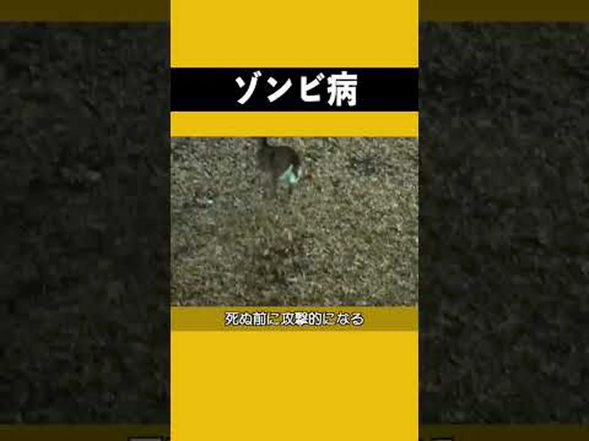 植物はどのようにして真菌感染症から身を守るのか 植物はどのようにして真菌感染症から身を守るのか