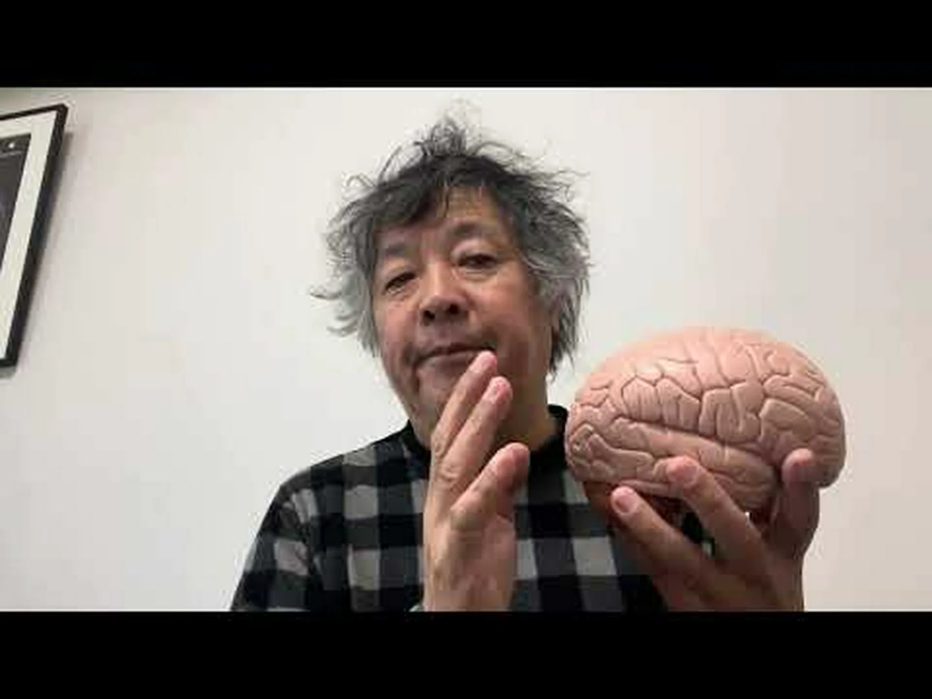 脳の発達には視覚的な印象が必要です 脳の発達には視覚的な印象が必要です