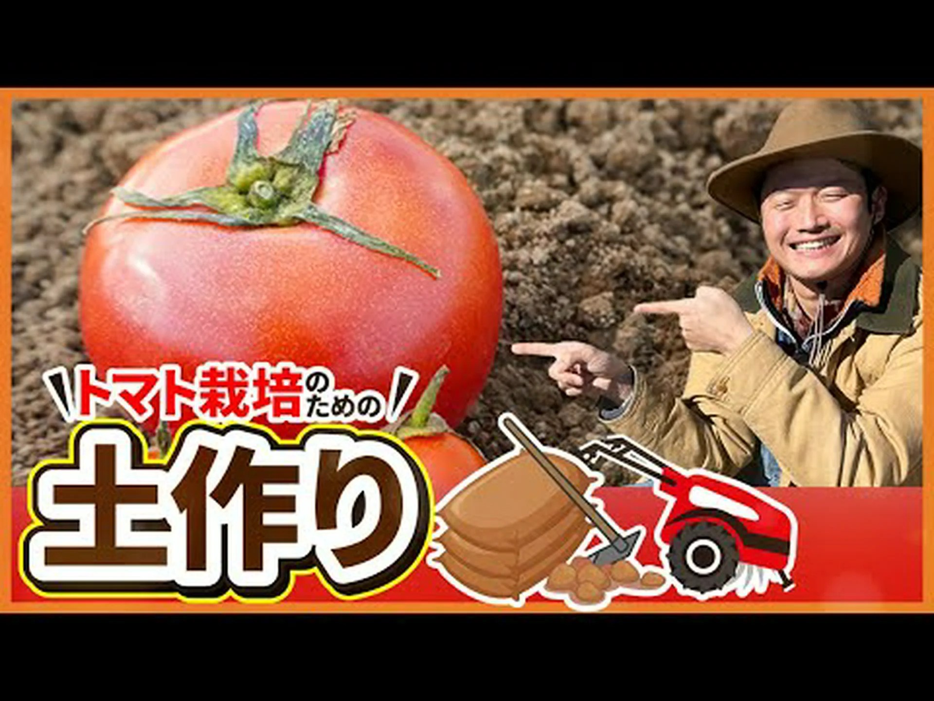 GMトマトは塩辛い土壌でも生育する GMトマトは塩辛い土壌でも生育する