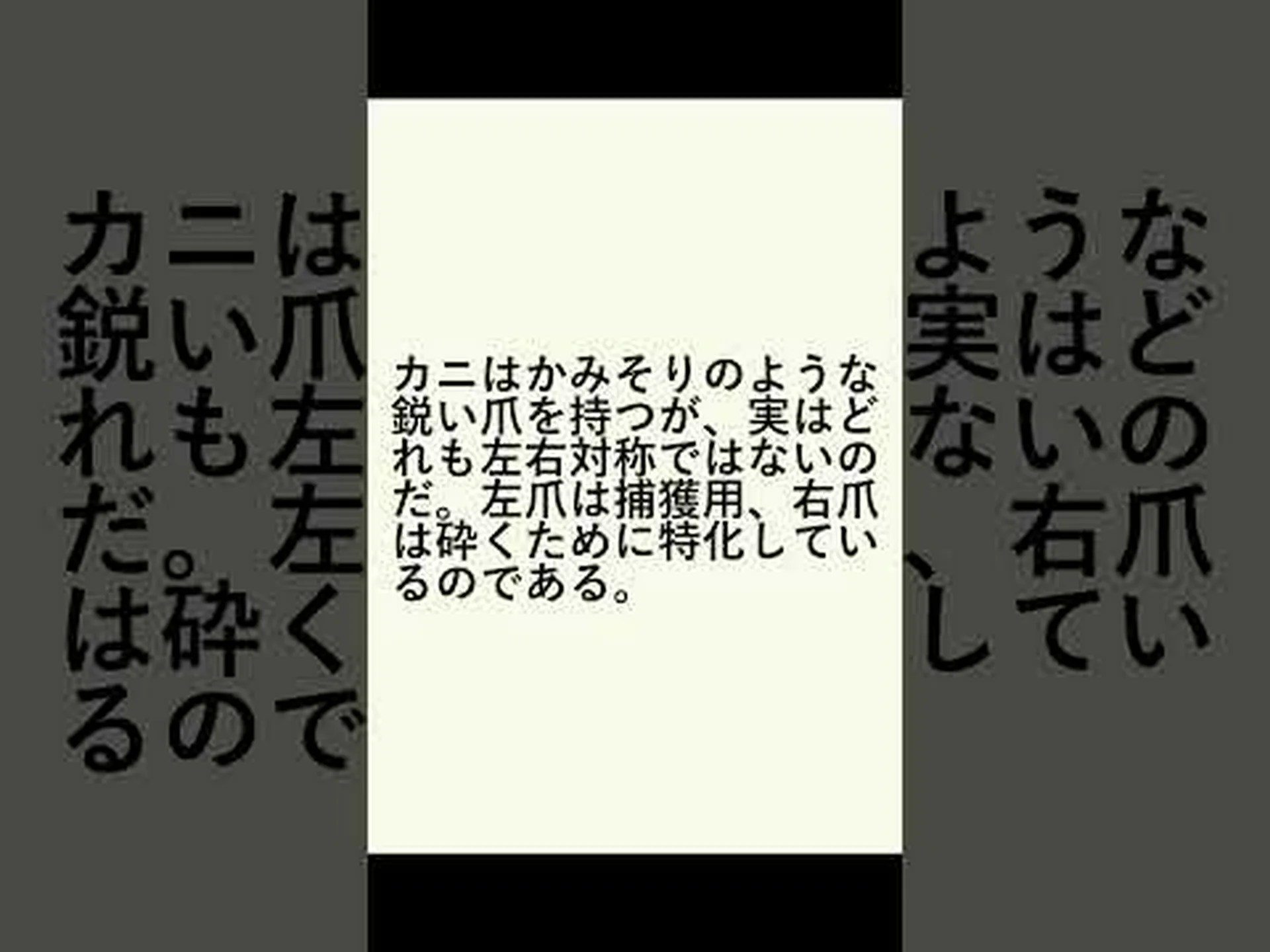 視覚に表れる動物の数値感覚 視覚に表れる動物の数値感覚