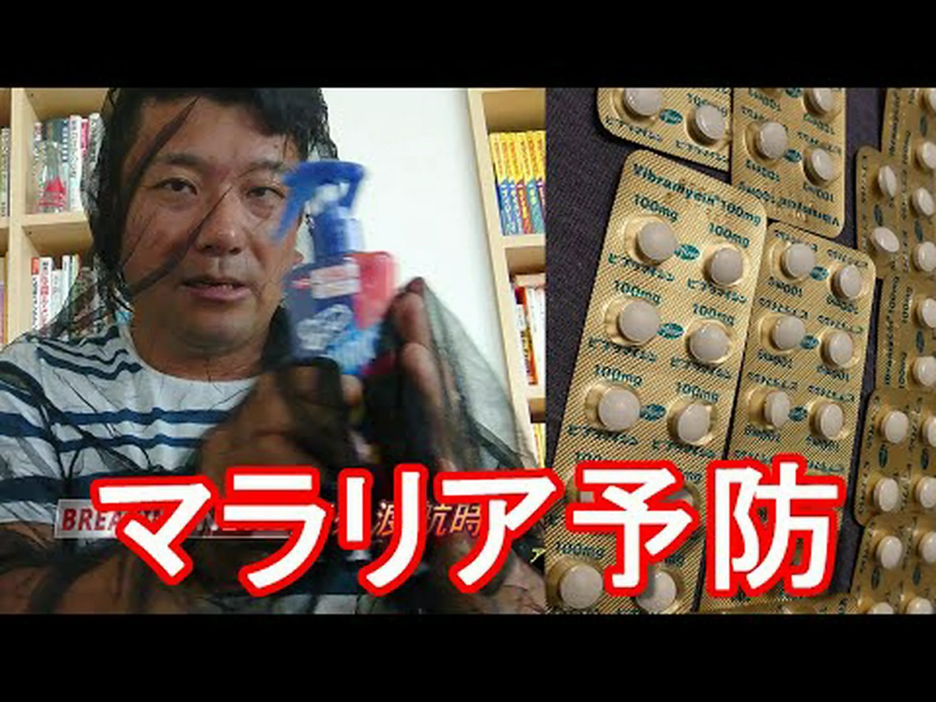 殺虫剤入りネットでマラリア対策 殺虫剤入りネットでマラリア対策