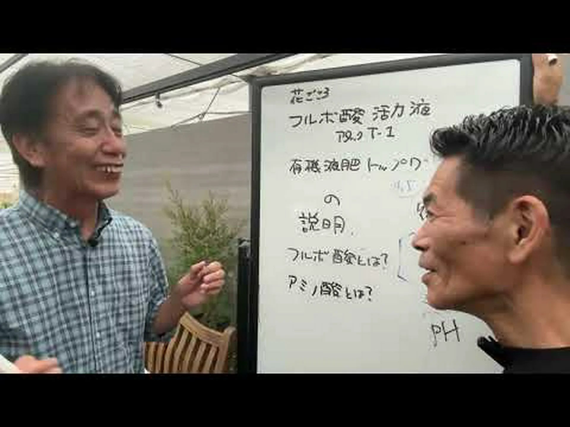 火山はハーブを木に変える 火山はハーブを木に変える