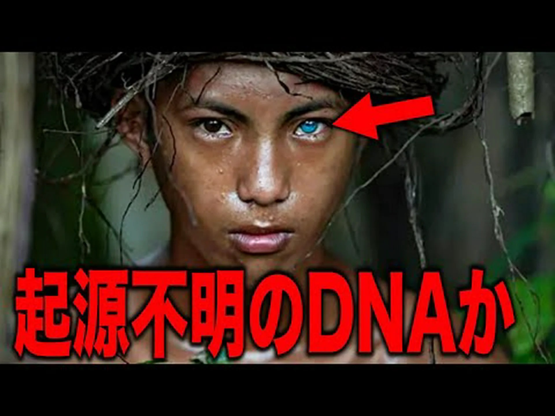 目に見える「祖先の存在」 目に見える「祖先の存在」