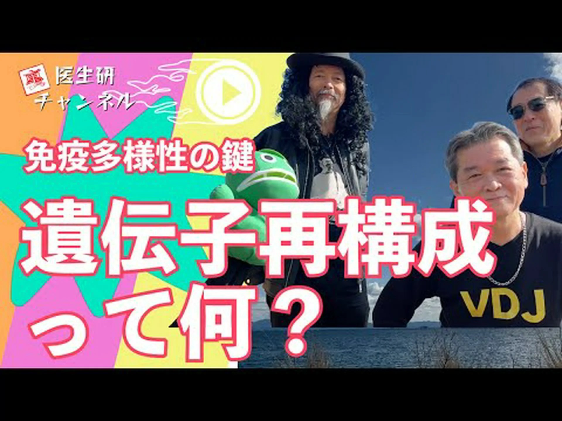 STAT-4遺伝子がなければ、免疫システムは平穏な状態を保ちます STAT-4遺伝子がなければ、免疫システムは平穏な状態を保ちます