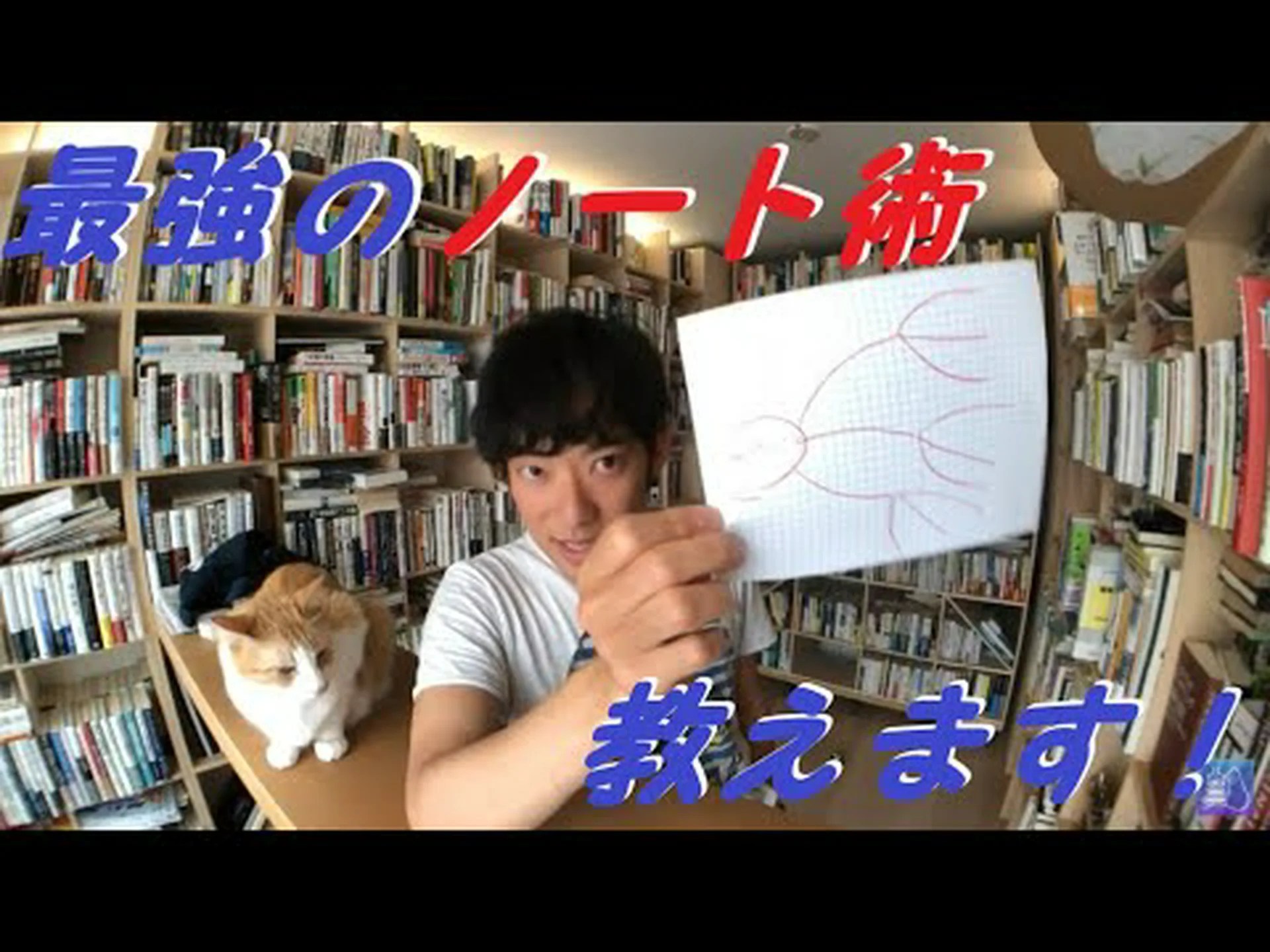 メンタルマップ メンタルマップ