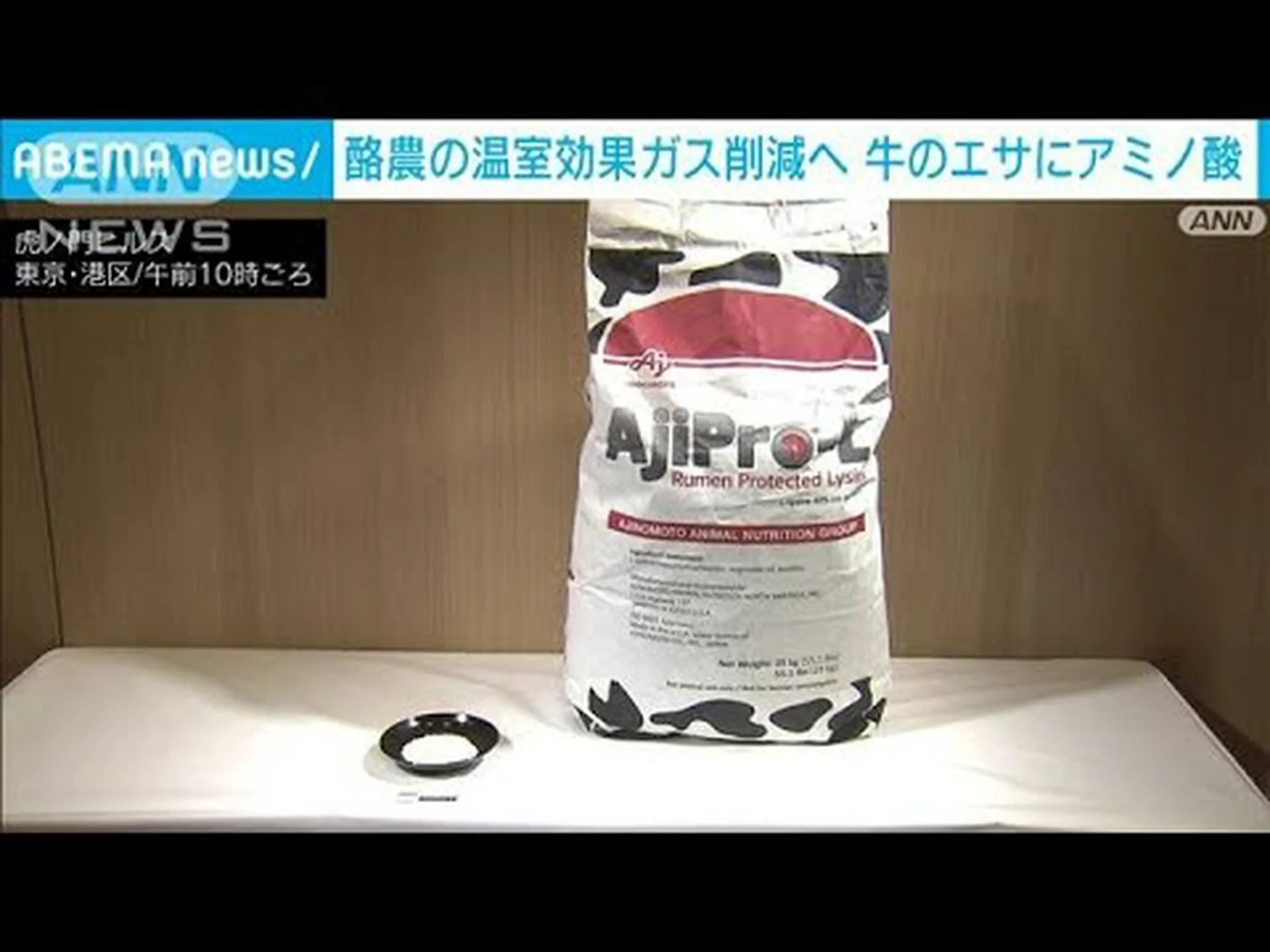 牛の飼料中の藻類によりメタン排出量が削減される 牛の飼料中の藻類によりメタン排出量が削減される