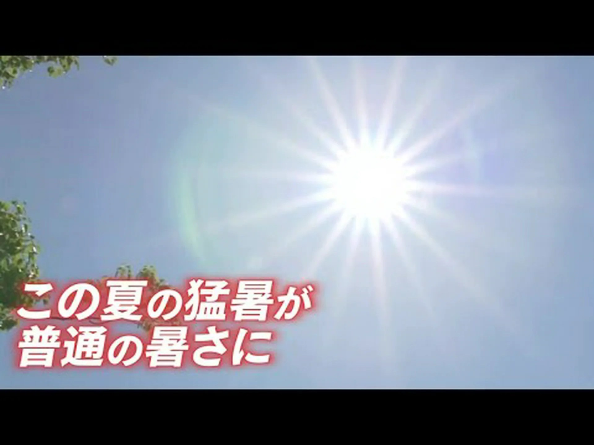熱帯の暑さでの冬眠 熱帯の暑さでの冬眠