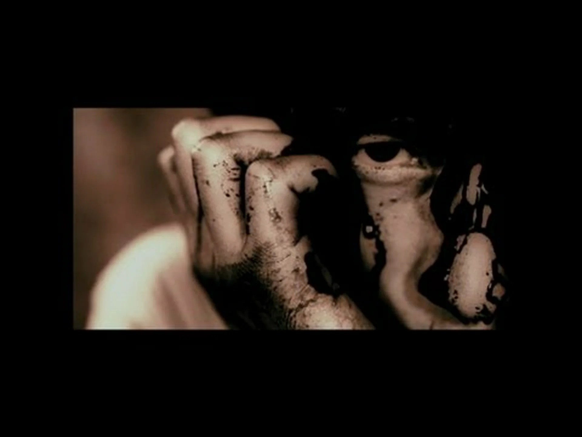 血を求める鼻 血を求める鼻