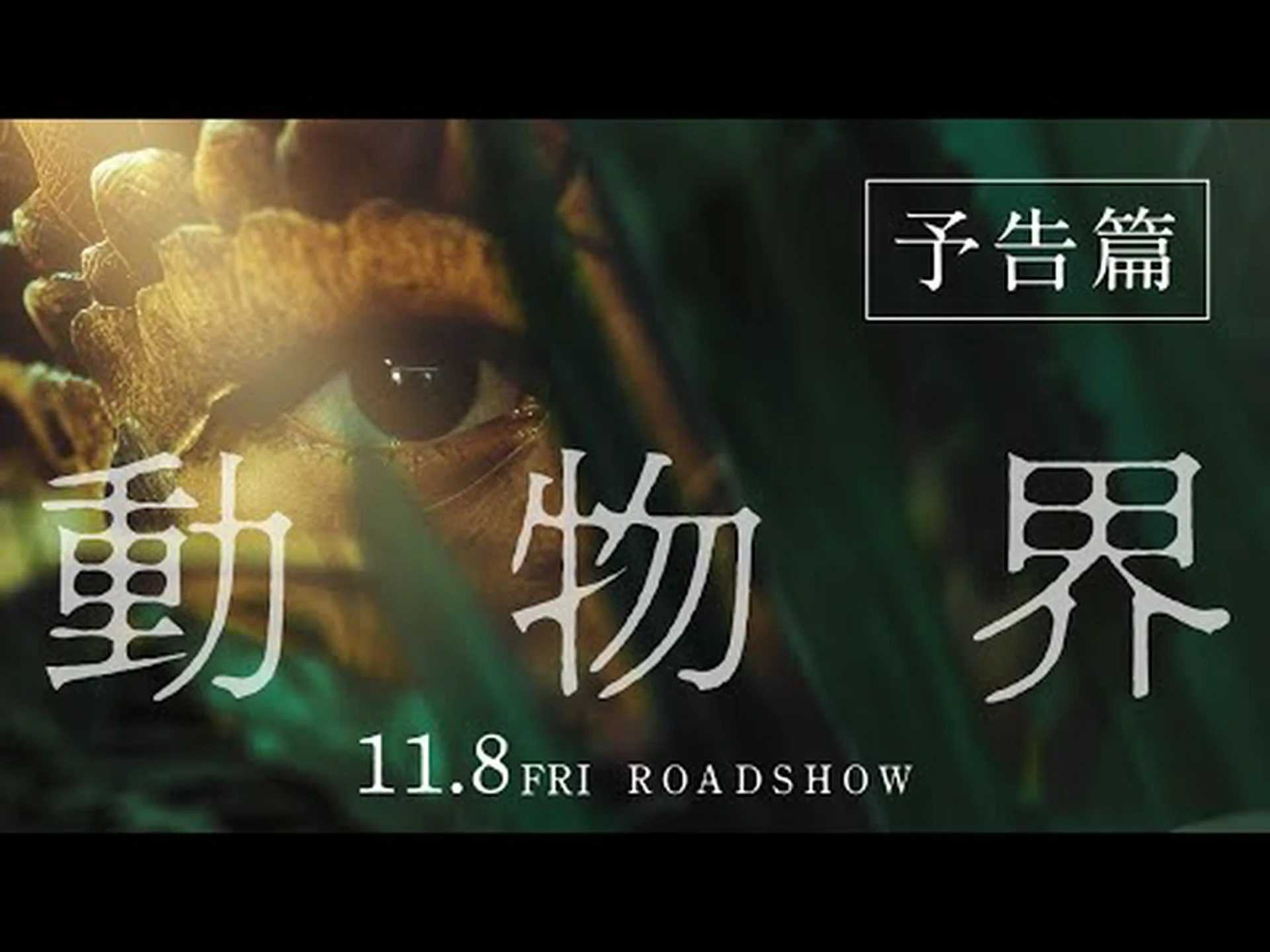 クビキビタキの雌が常軌を逸する:動物界における種の混合が成功 クビキビタキの雌が常軌を逸する:動物界における種の混合が成功