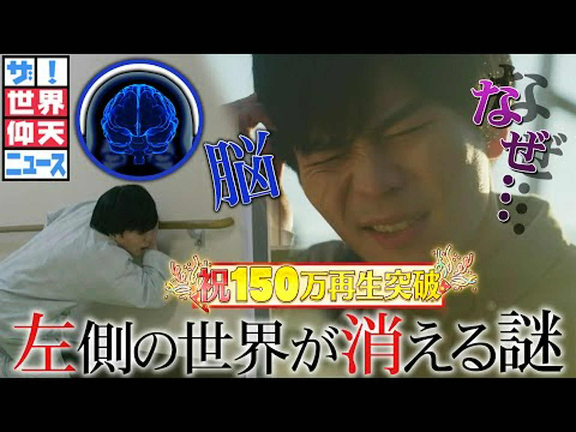 ジカ: 大人の脳にも危険? ジカ: 大人の脳にも危険?