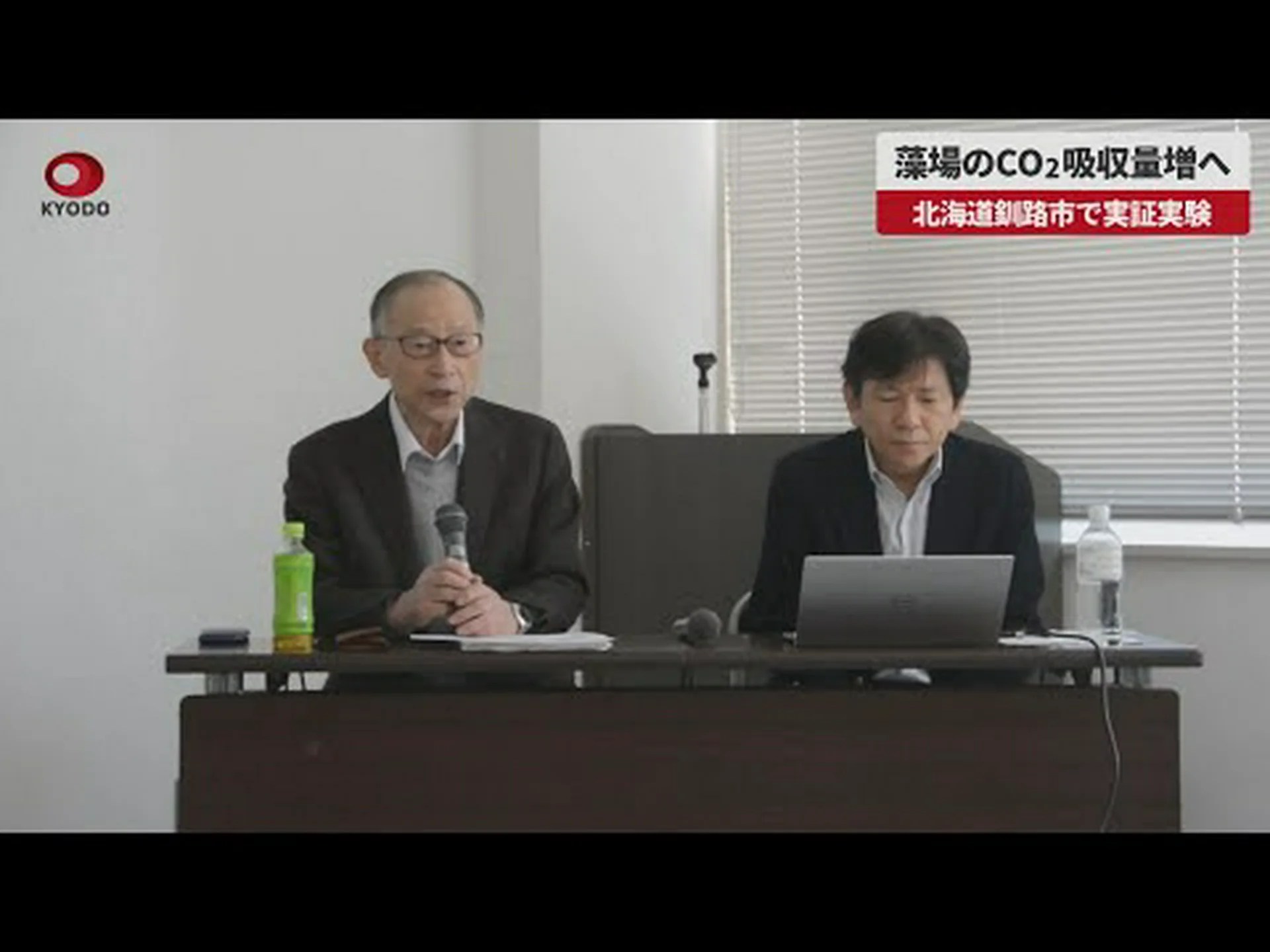 海藻: 炭素貯蔵量を過小評価されていますか? 海藻: 炭素貯蔵量を過小評価されていますか?