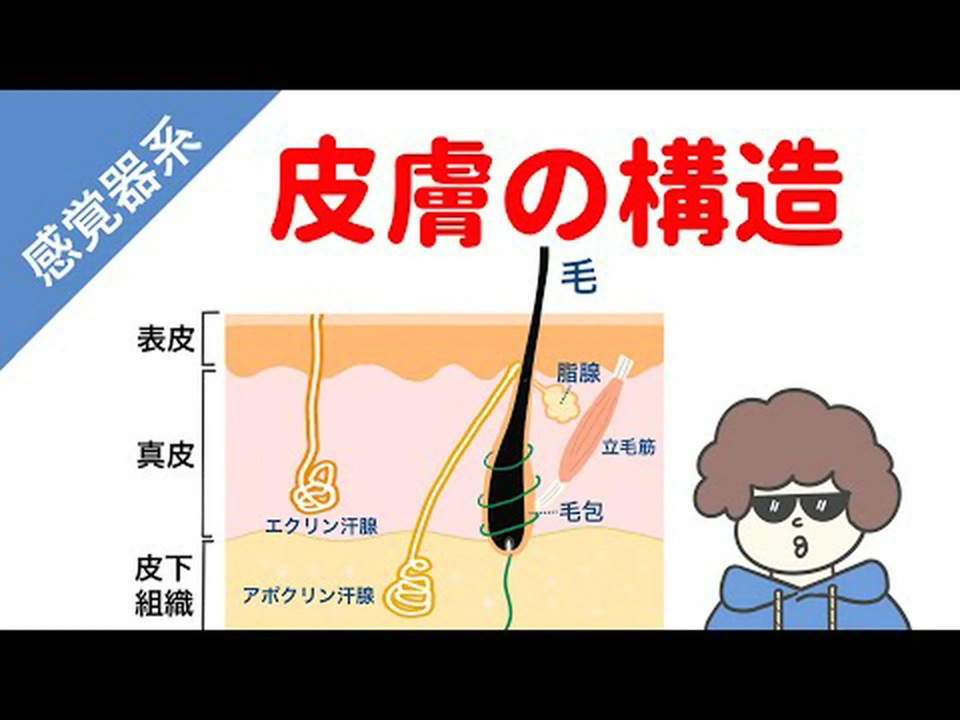皮膚が神経細胞になる 皮膚が神経細胞になる