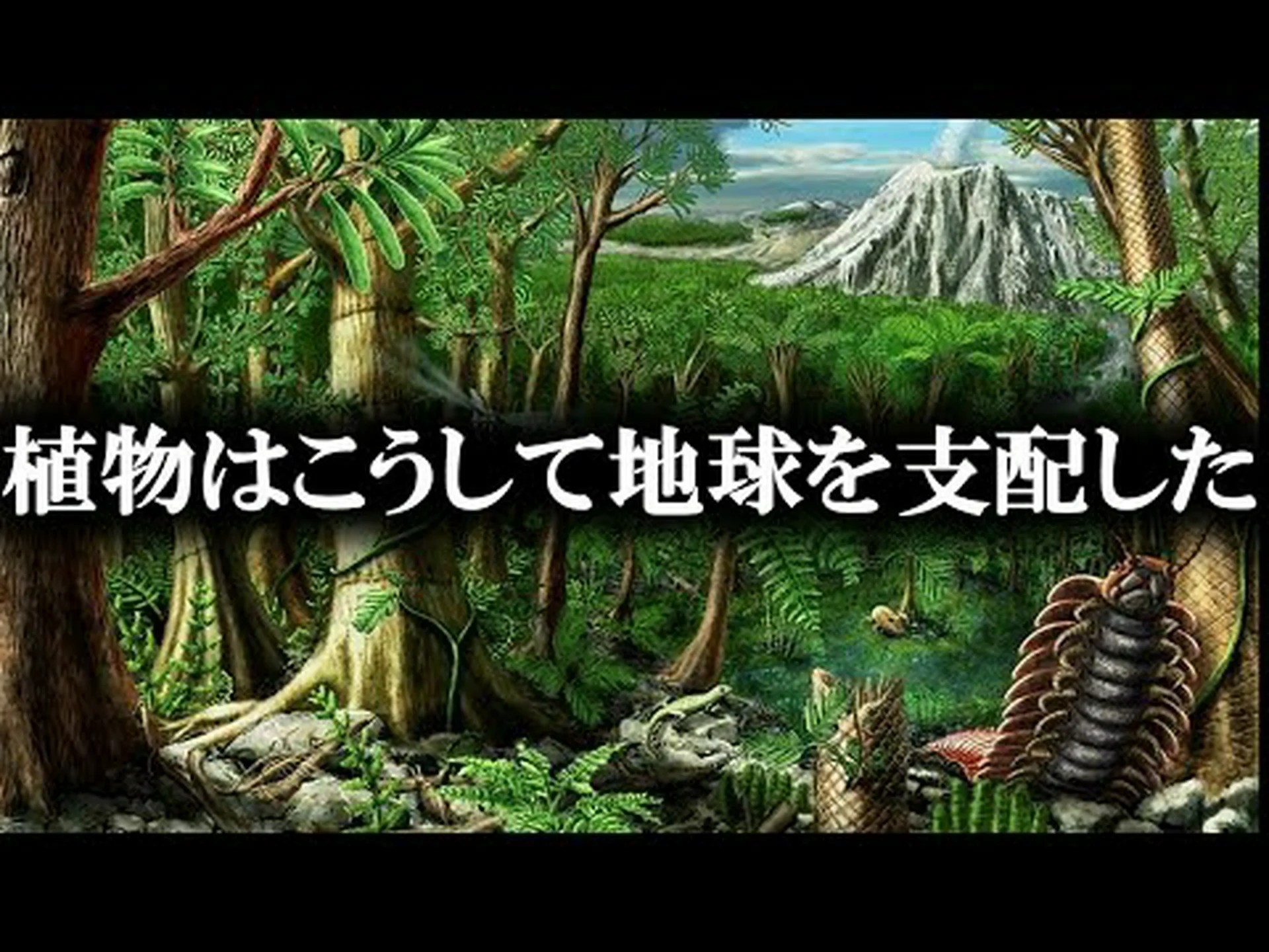 ヨーロッパの維管束植物はどの程度絶滅の危機に瀕しているのでしょうか? ヨーロッパの維管束植物はどの程度絶滅の危機に瀕しているのでしょうか?