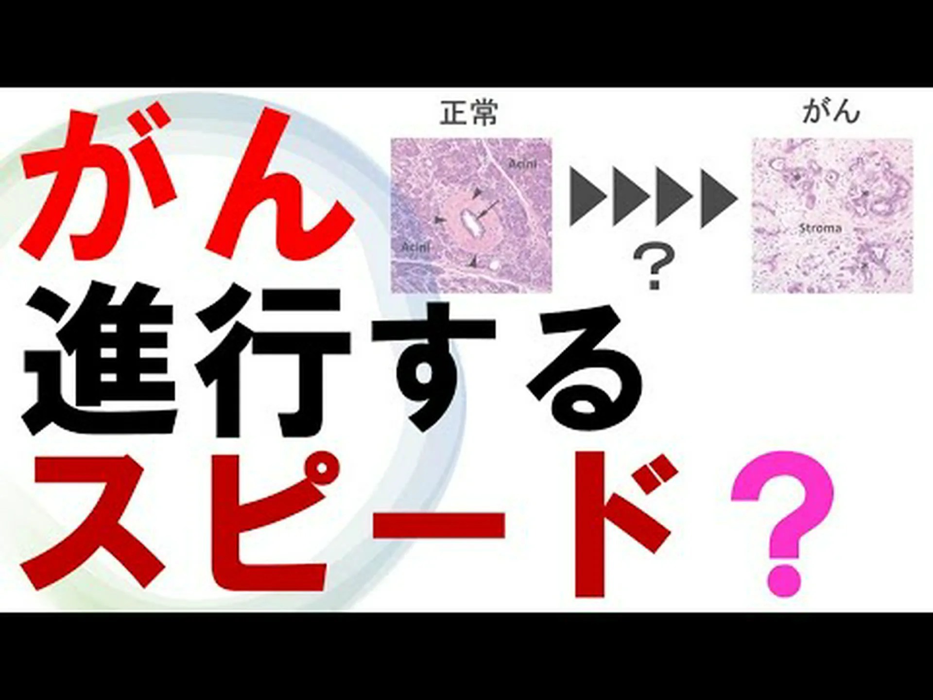 移植された神経細胞からは癌が発生しない 移植された神経細胞からは癌が発生しない