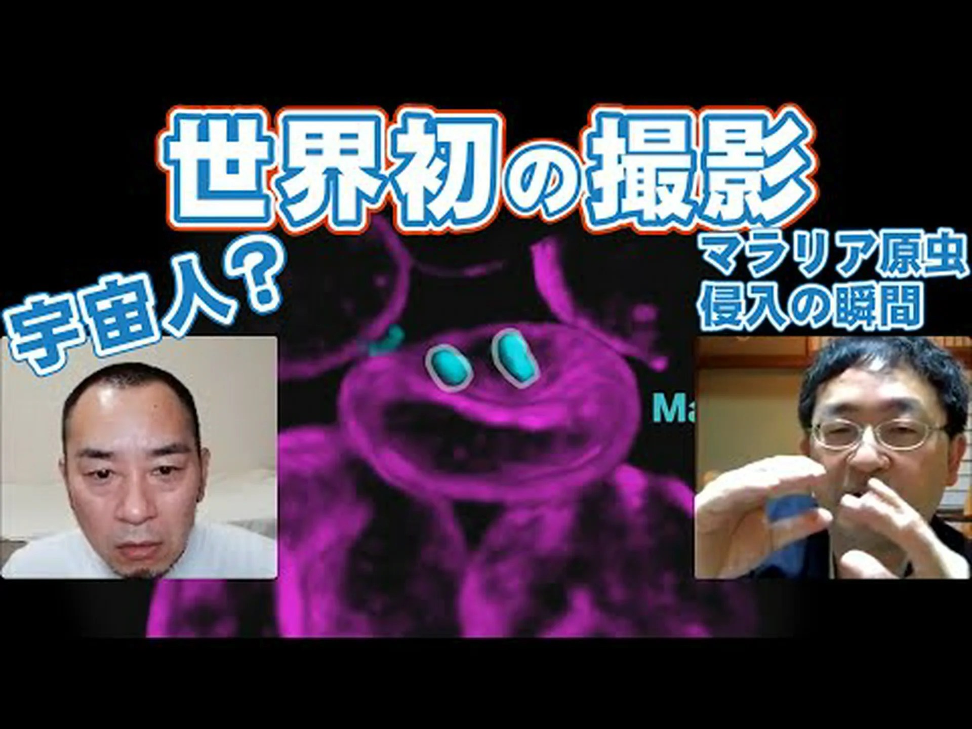 捕らえられたマラリア病原体 捕らえられたマラリア病原体