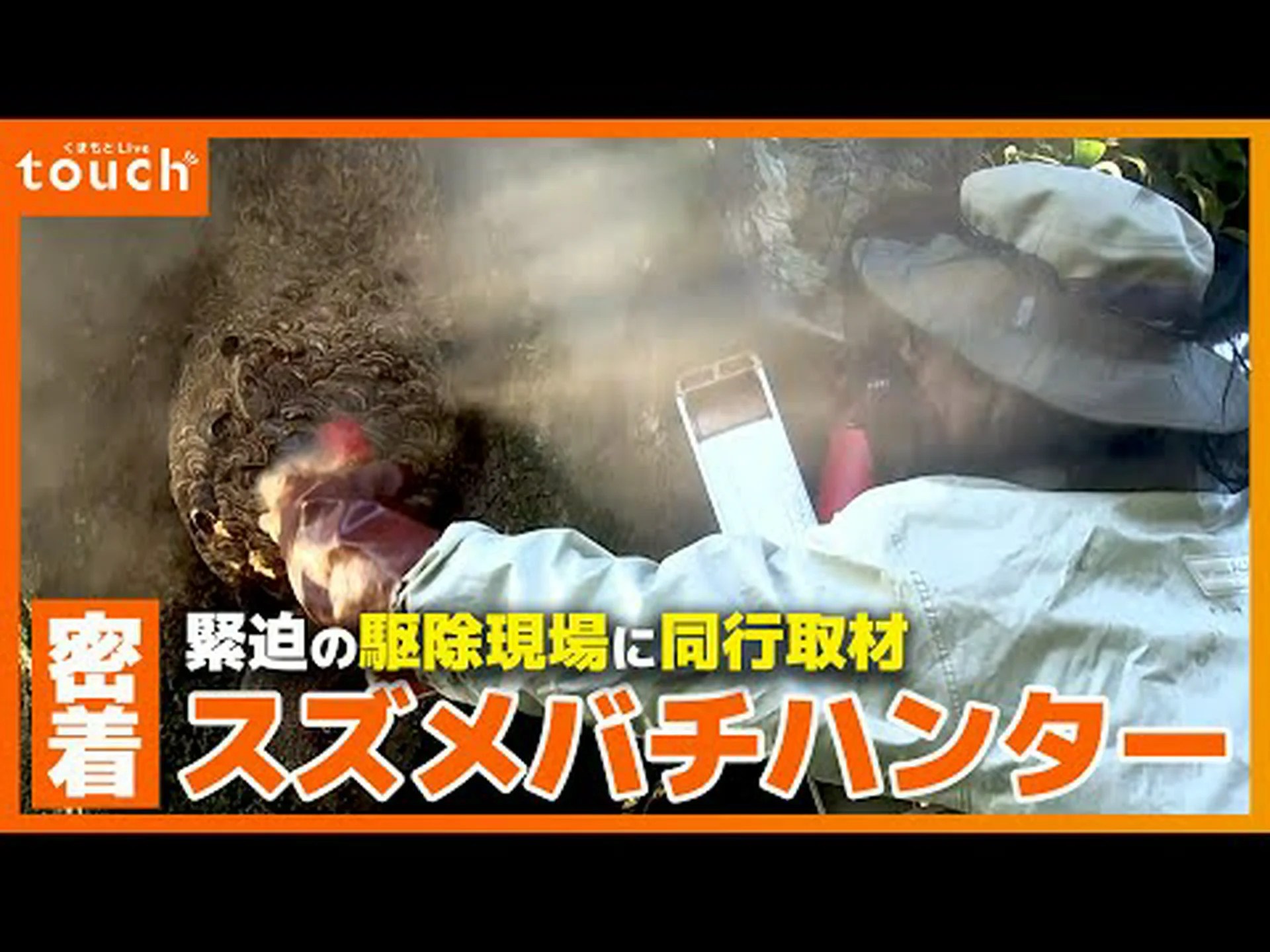 アジアスズメバチ:ヨーロッパのミツバチにとって危険? アジアスズメバチ:ヨーロッパのミツバチにとって危険?