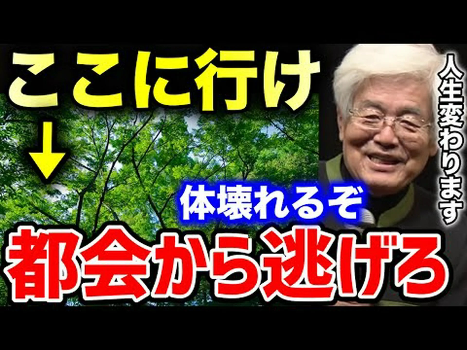 都会に住む人は森についてどう思うか 都会に住む人は森についてどう思うか