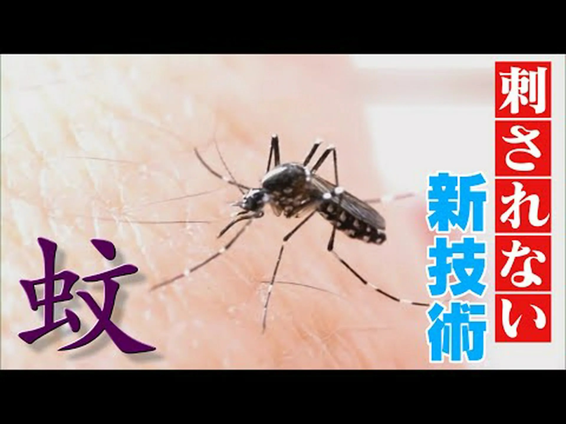 蚊よけの止まり木 蚊よけの止まり木