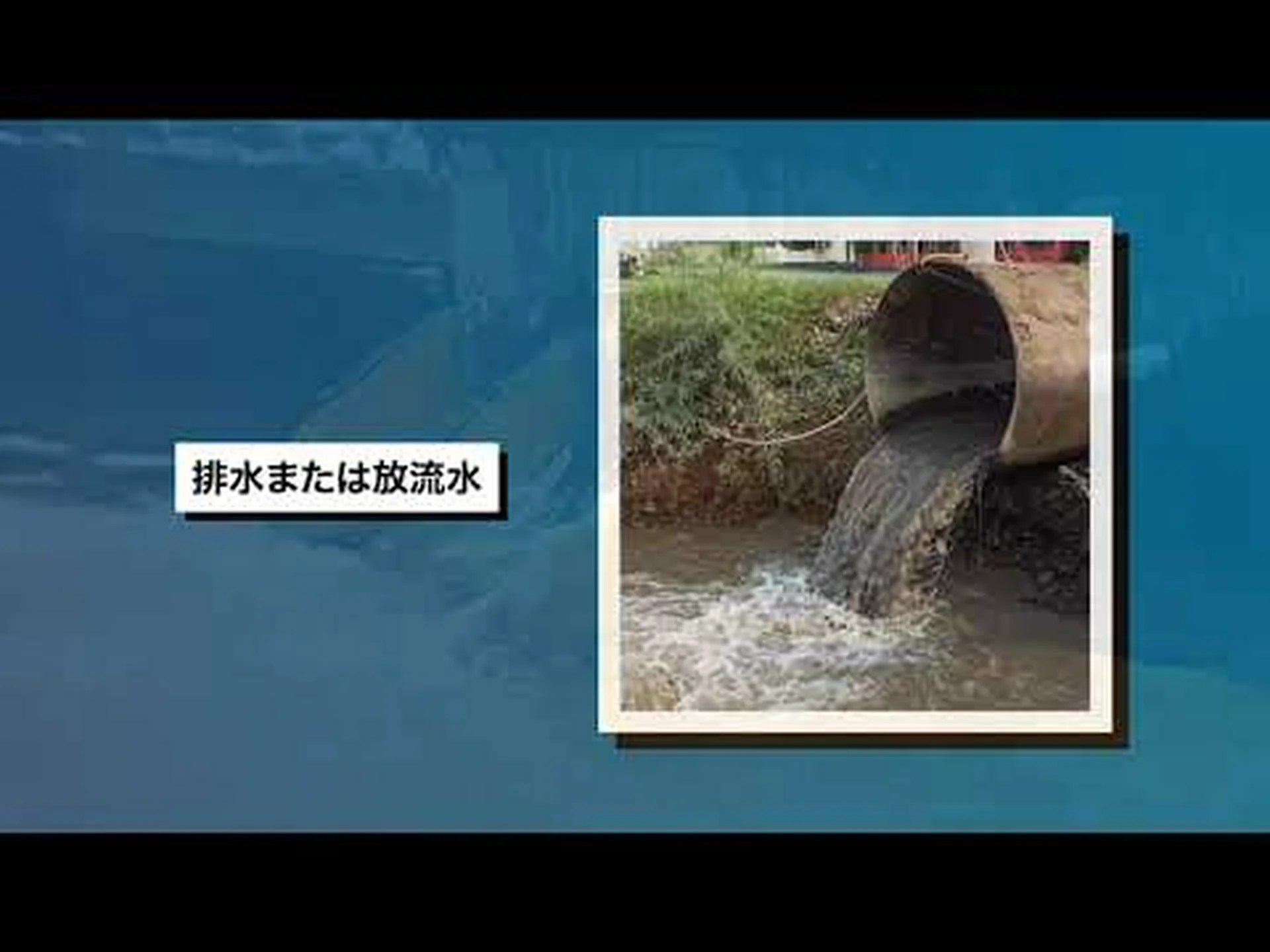 泥炭地は鉱山廃水を浄化できる 泥炭地は鉱山廃水を浄化できる