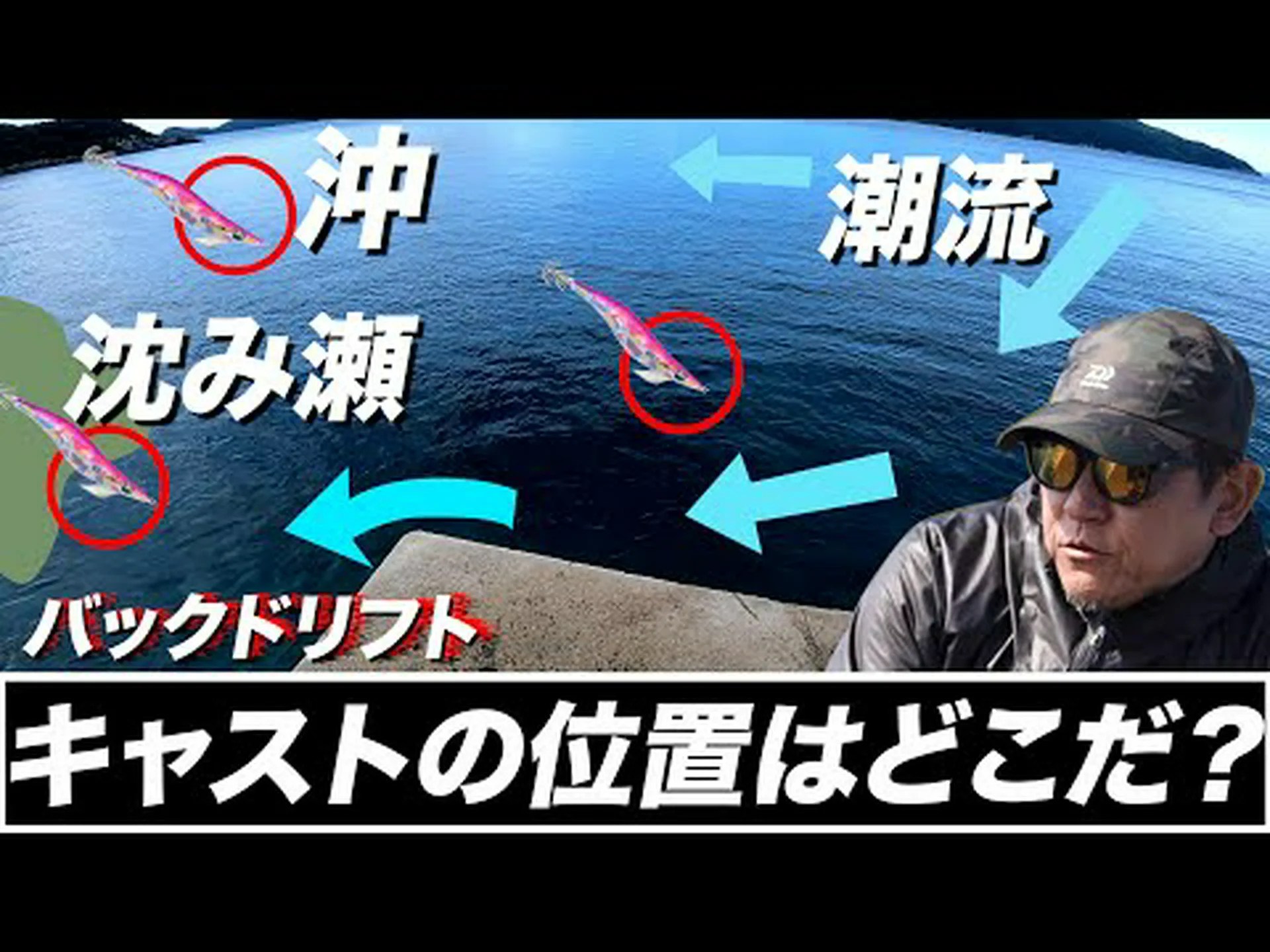 イカは自分自身を制御できる イカは自分自身を制御できる