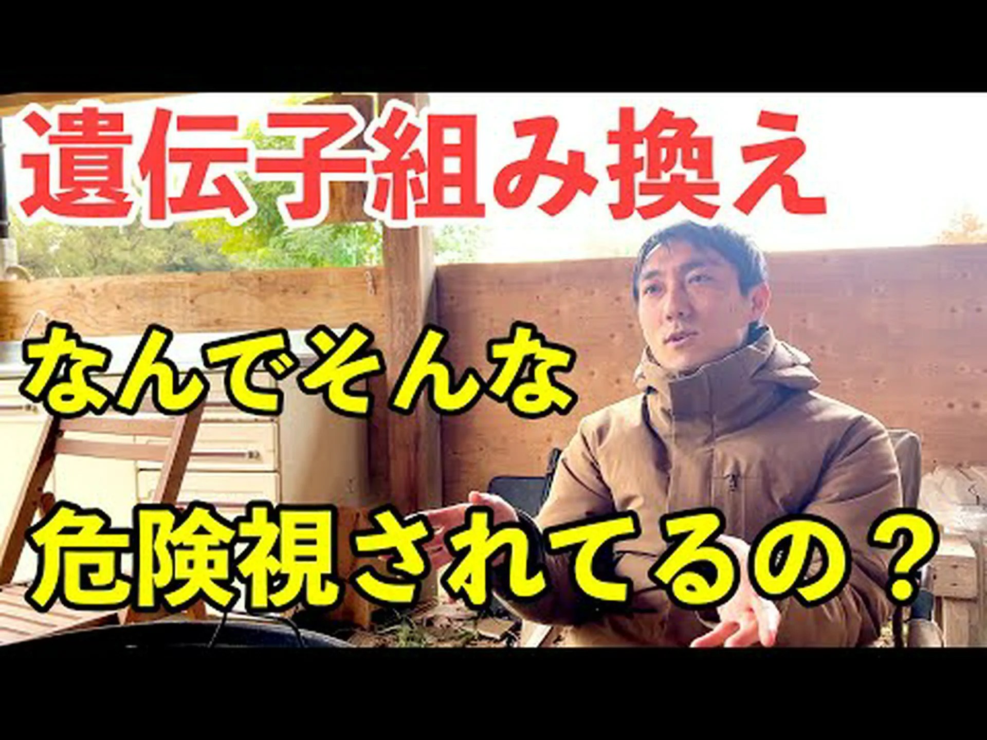 遺伝子組み換え菜種の花粉も遠方の畑に届く 遺伝子組み換え菜種の花粉も遠方の畑に届く