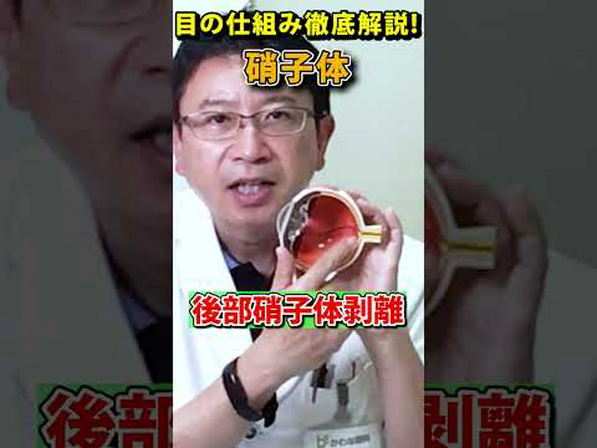 怪我をした目の人工硝子体 怪我をした目の人工硝子体