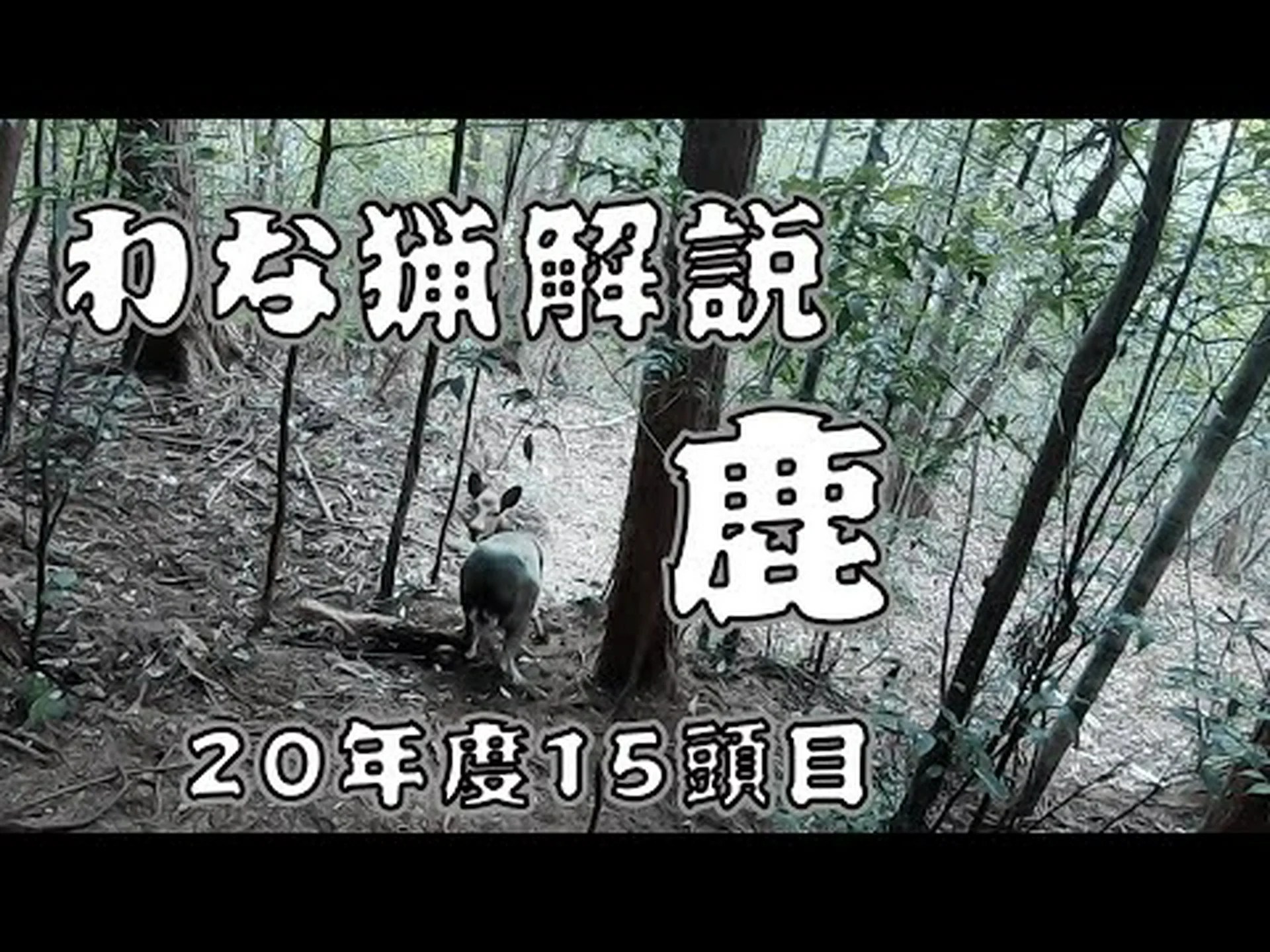 地下罠猟師発見 地下罠猟師発見