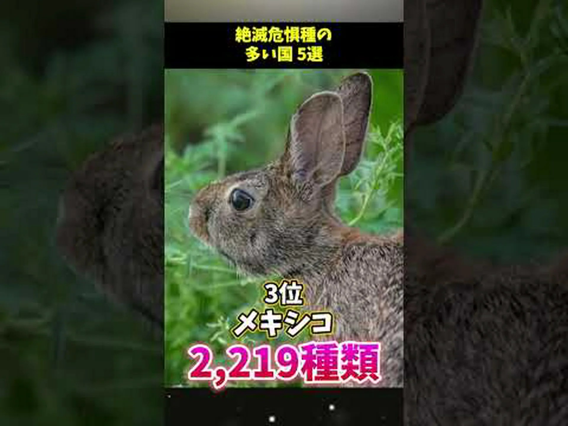 細菌種も絶滅しつつあるのでしょうか? 細菌種も絶滅しつつあるのでしょうか?