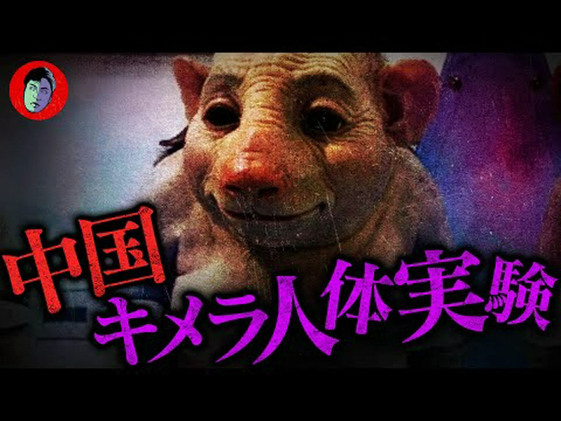 クローン人間胚:米国のタブーを破る クローン人間胚:米国のタブーを破る