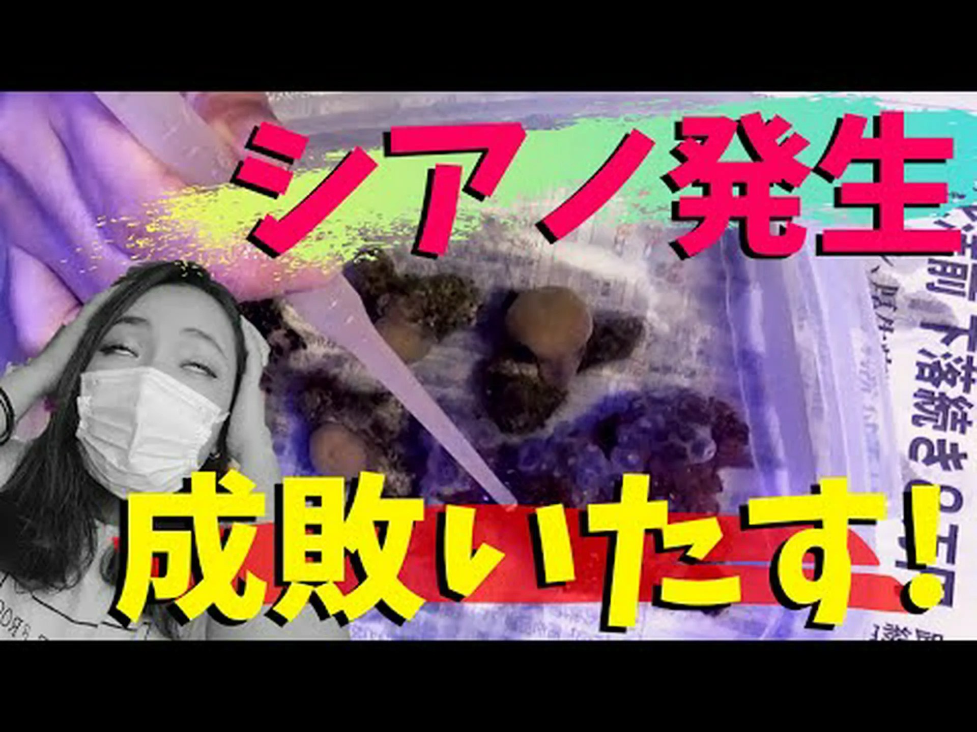 シアノバクテリアもメタンを生成します シアノバクテリアもメタンを生成します