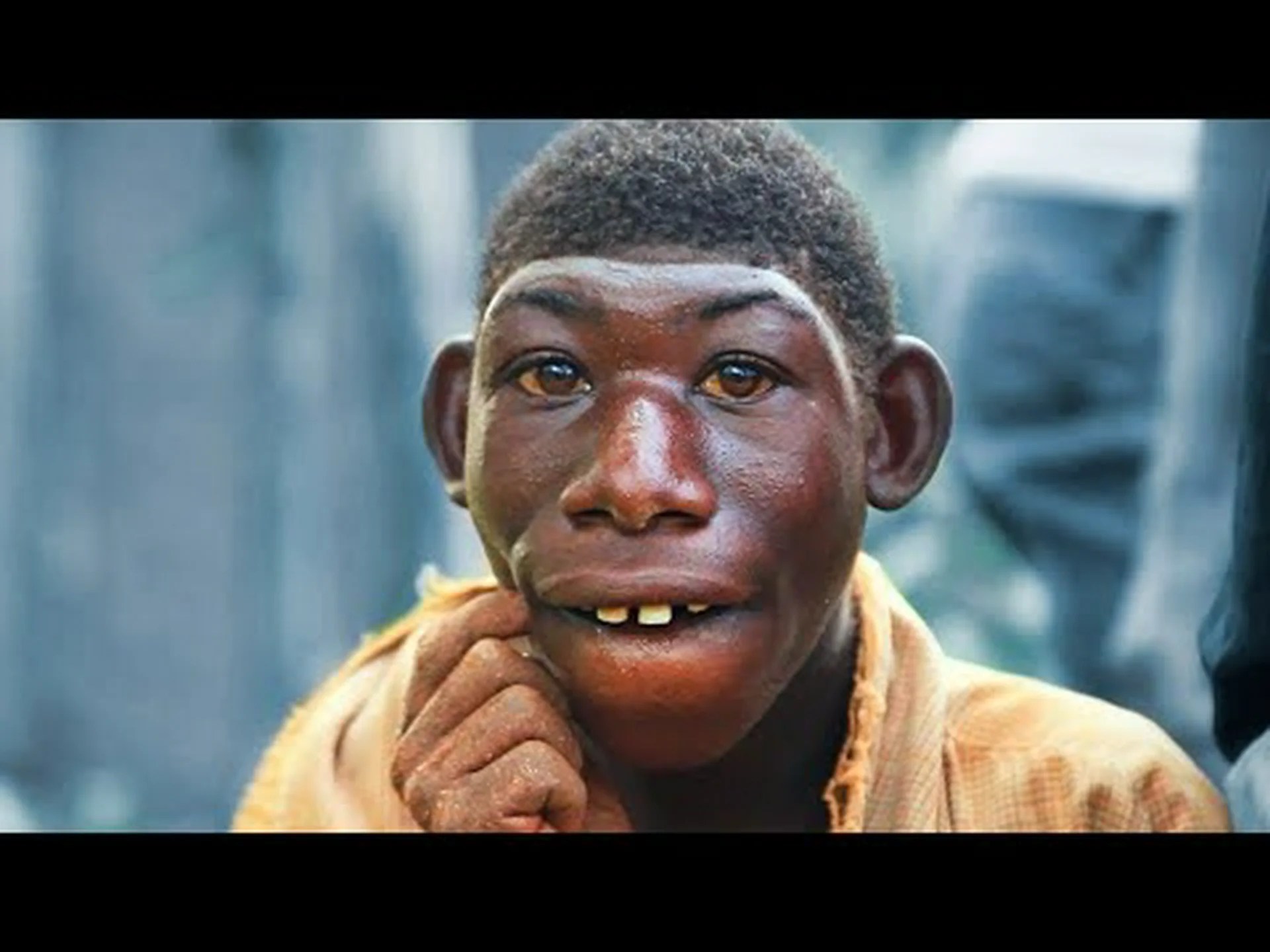 驚くほど経済的な鳥の脳 驚くほど経済的な鳥の脳