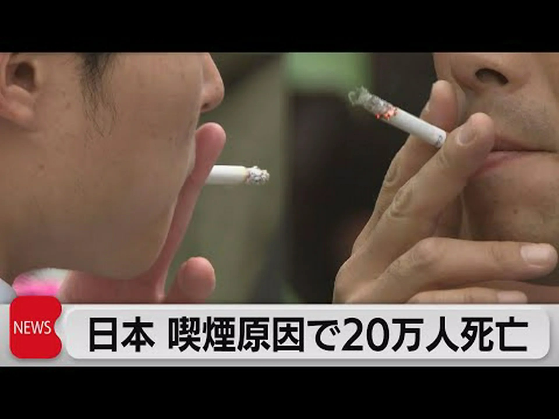 喫煙により毎年約500万人が死亡 喫煙により毎年約500万人が死亡