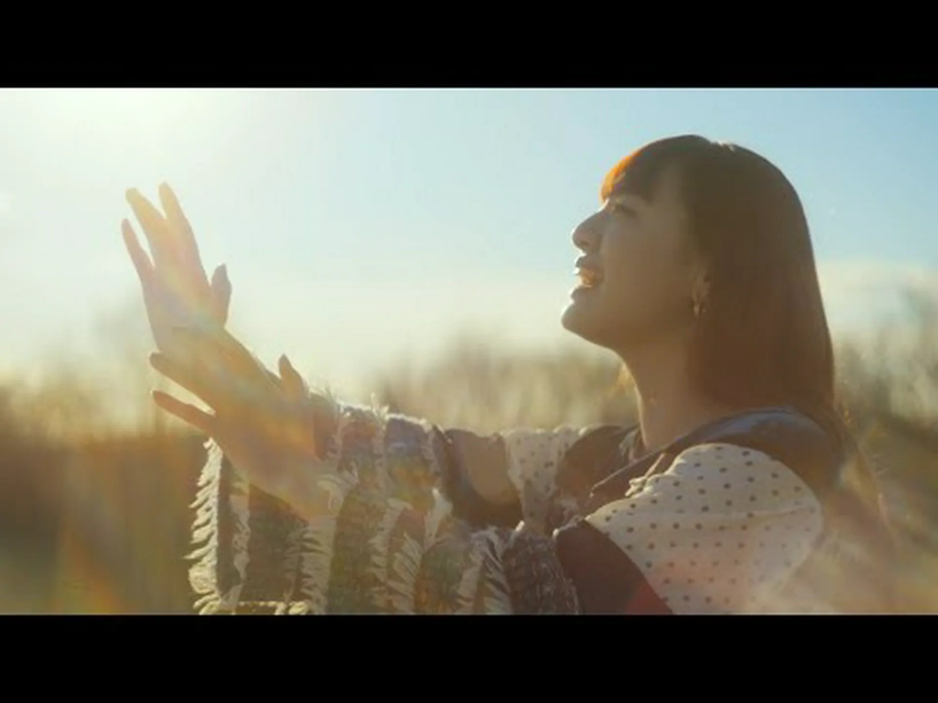 研究者は数学モデルを使用してカナリアの歌を追跡しています 研究者は数学モデルを使用してカナリアの歌を追跡しています