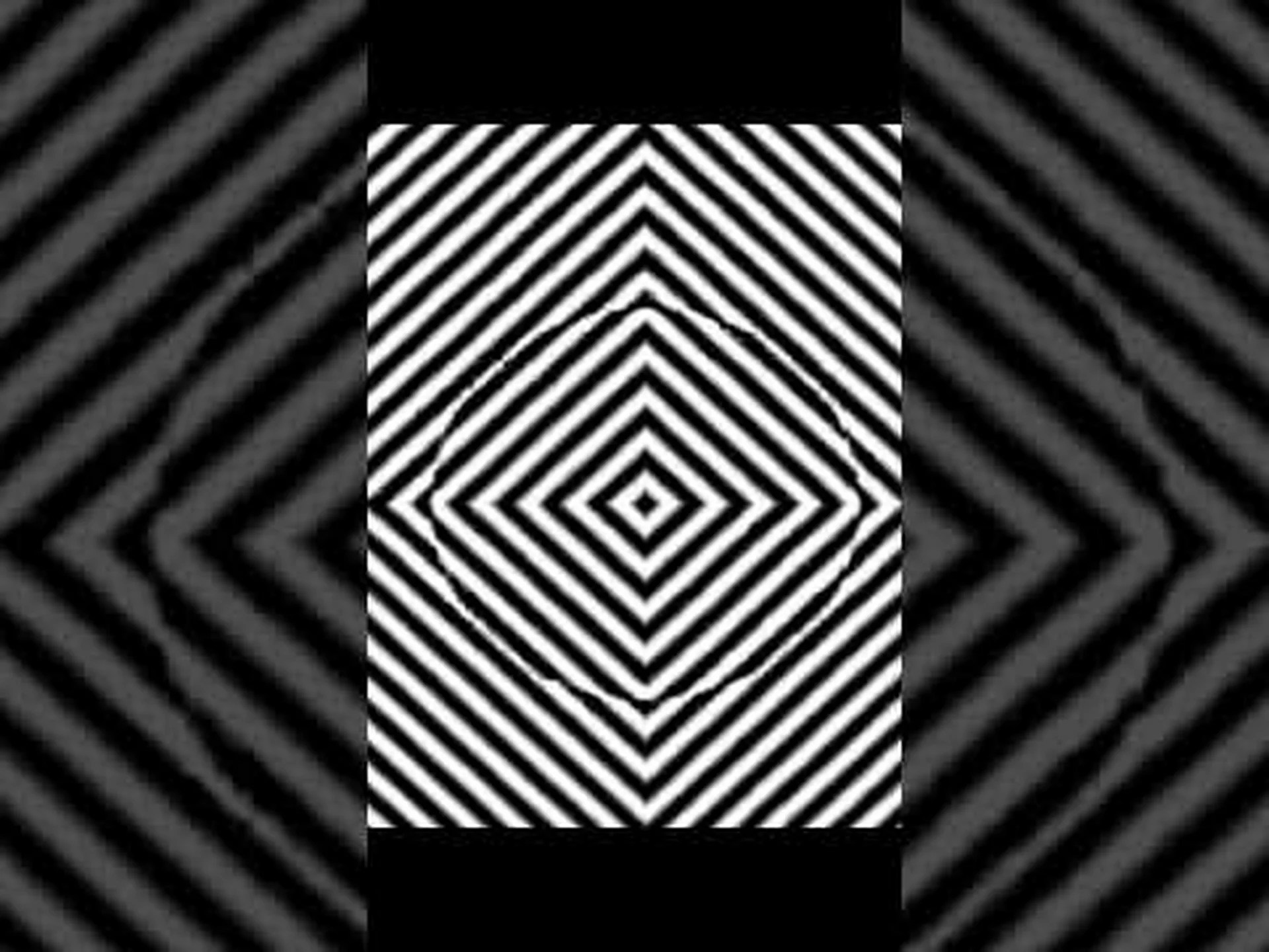 ウイルスはどのようにして太らせるのか ウイルスはどのようにして太らせるのか