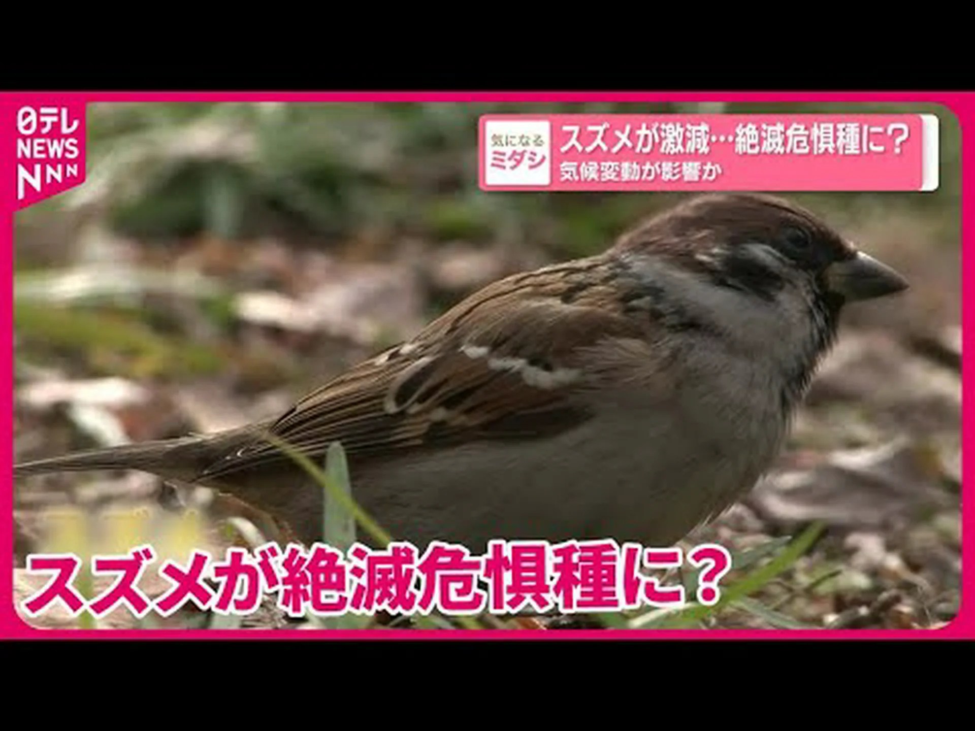 気候変動は止まらなかった 気候変動は止まらなかった