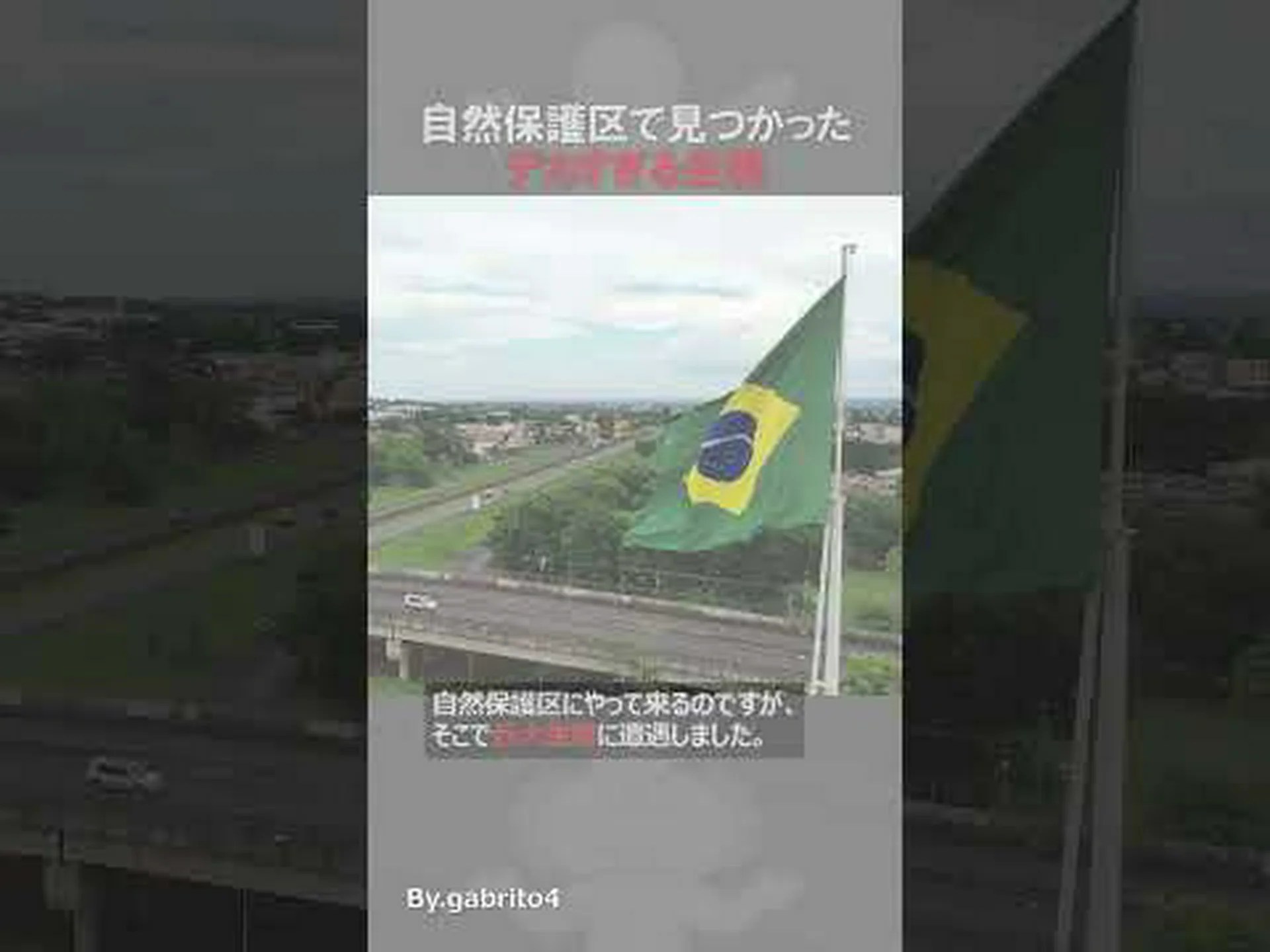 「騒音に汚染された」自然保護区 「騒音に汚染された」自然保護区