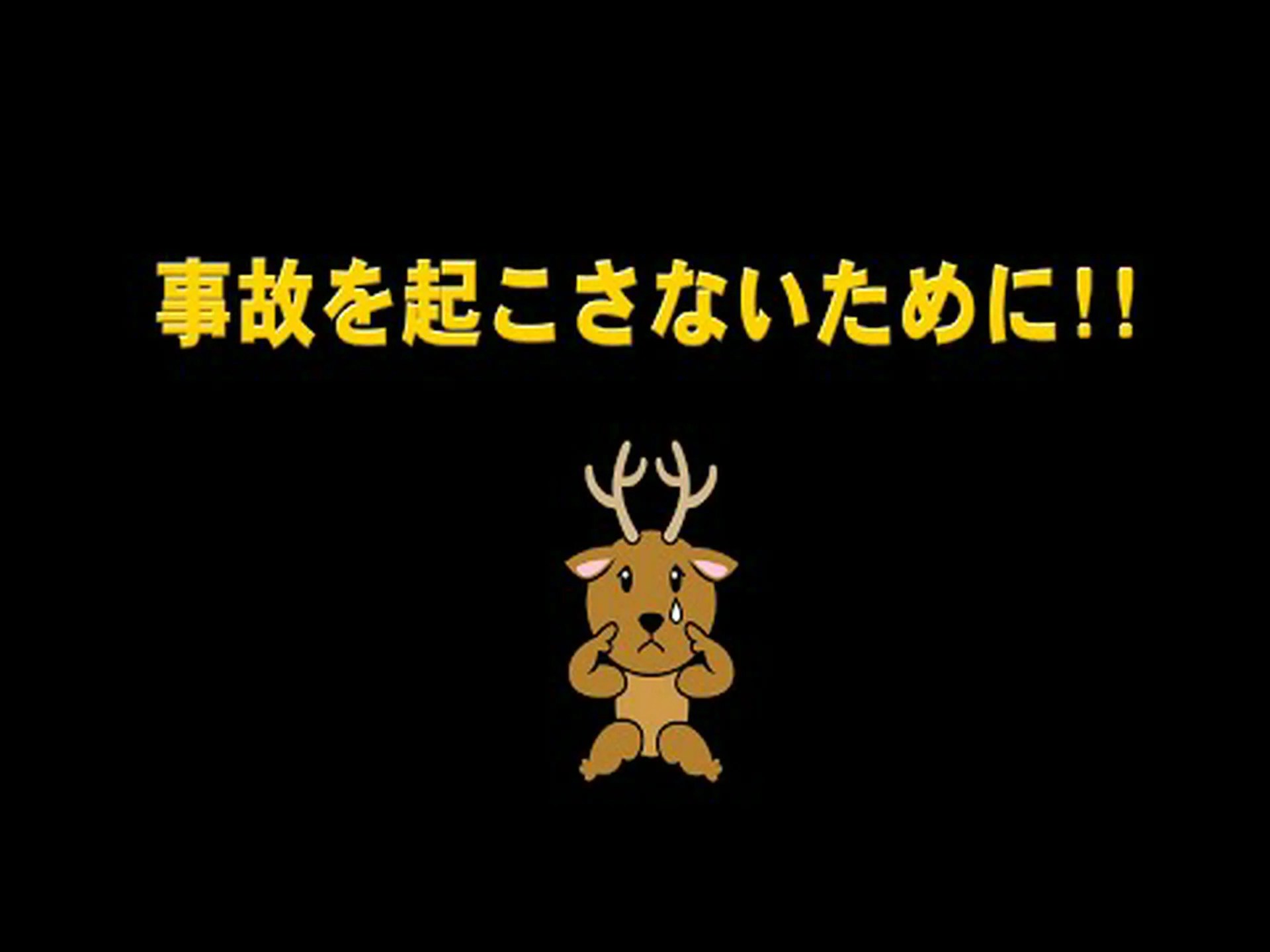 野生動物の事故: 現在リスクが増加しています! 野生動物の事故: 現在リスクが増加しています!