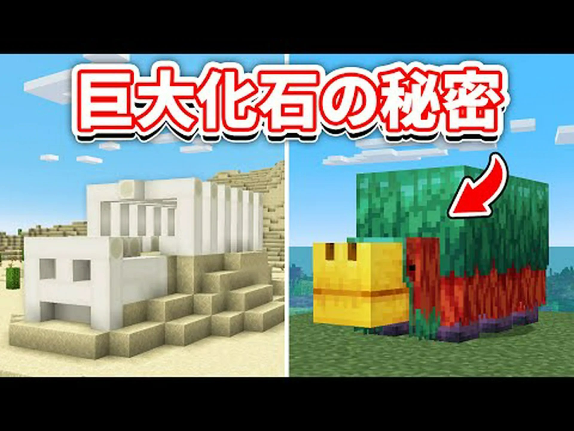 「裸の」化石に関する謎 「裸の」化石に関する謎