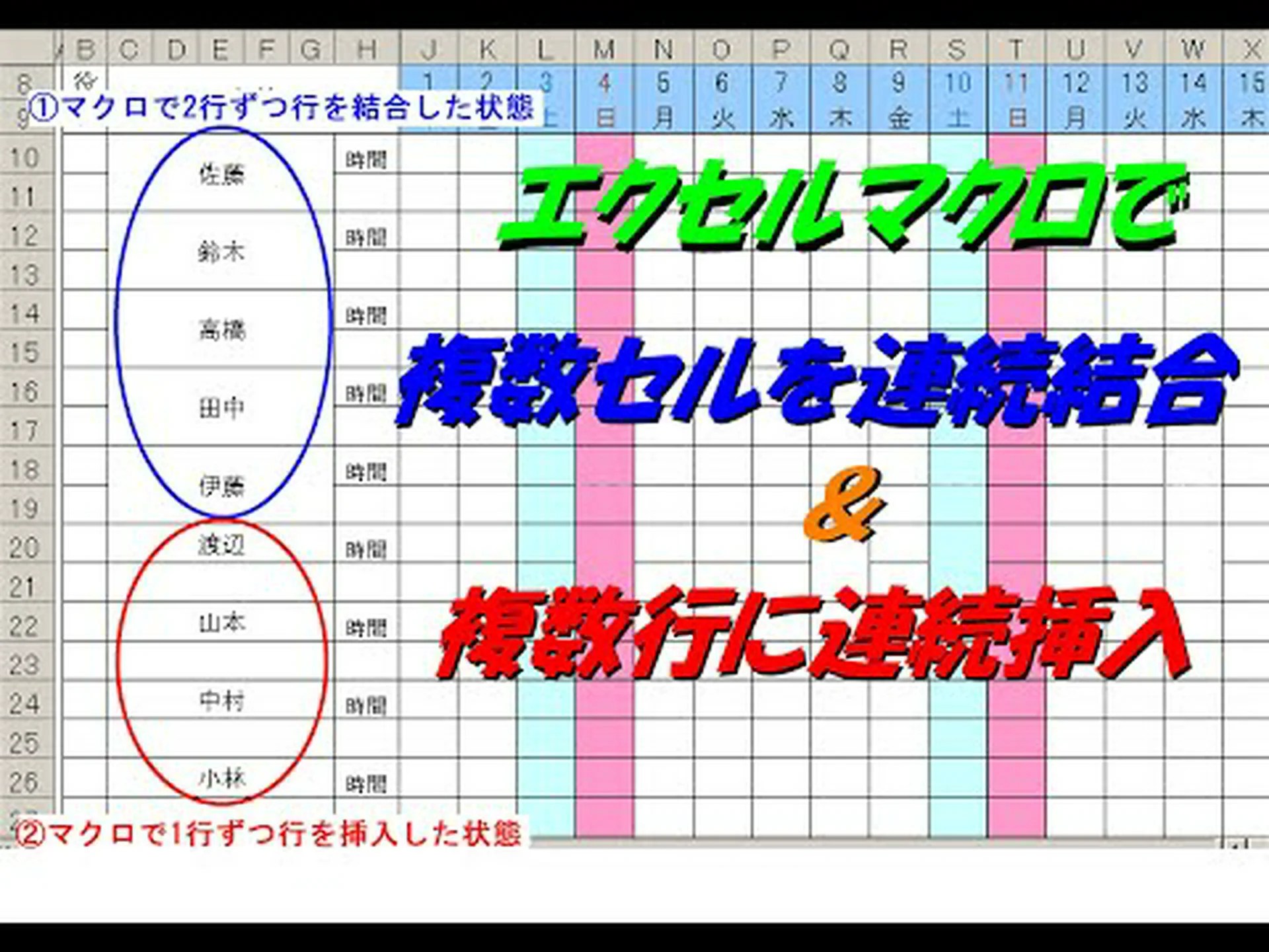 セル、開けて! セル、開けて!