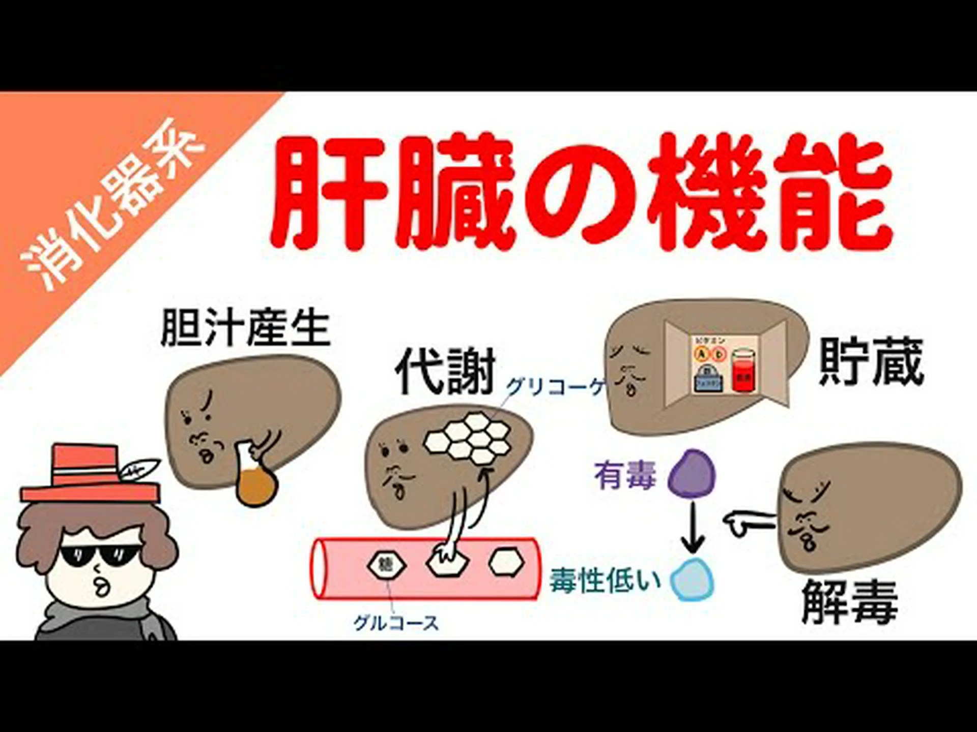 脳内のエネルギー貯蔵 脳内のエネルギー貯蔵