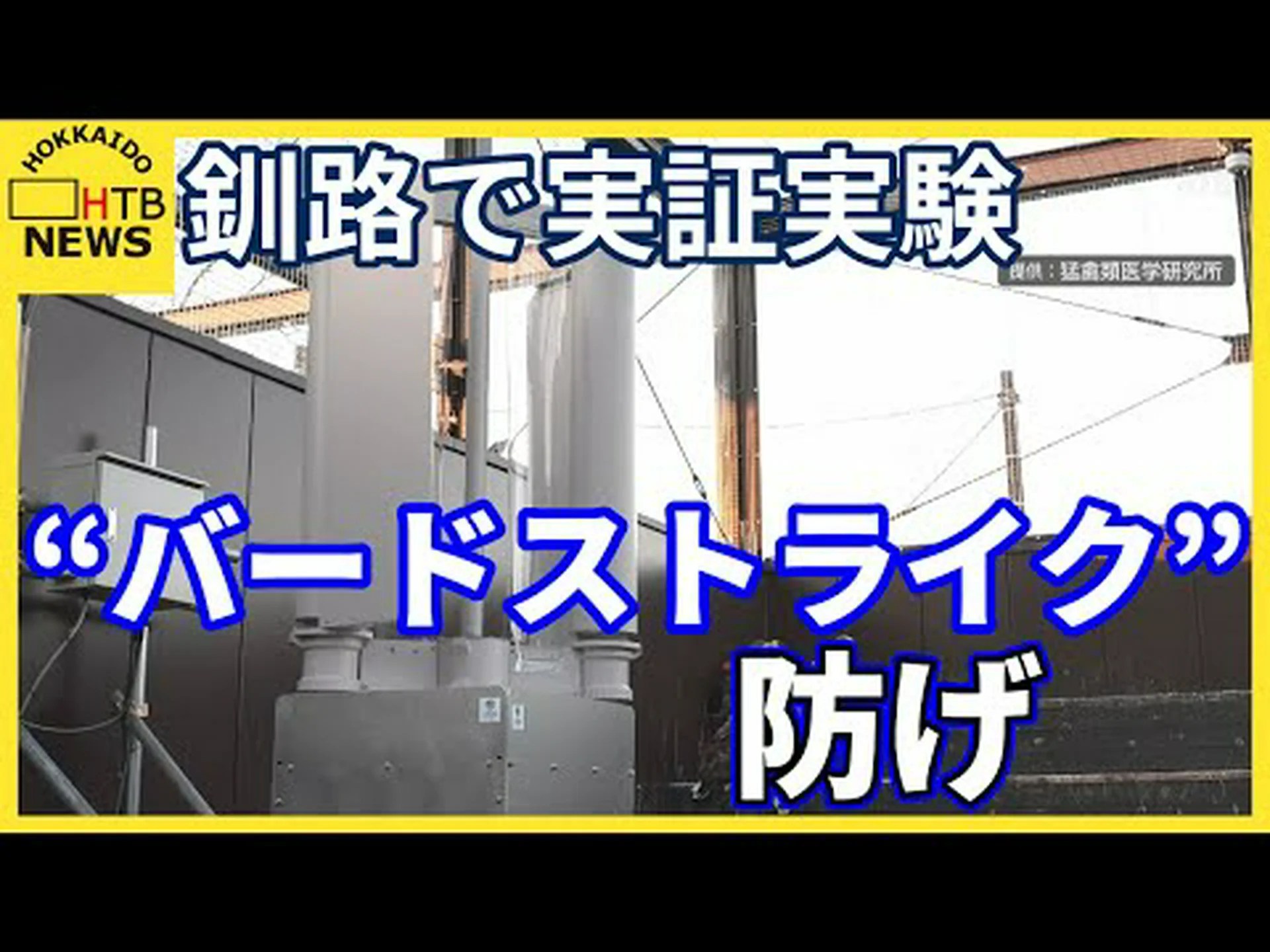 風力発電: 衝突の危険性はどのくらいありますか? 風力発電: 衝突の危険性はどのくらいありますか?