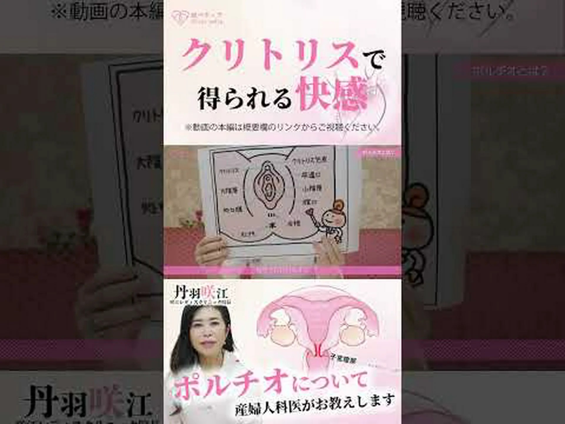 イルカ:女性の快楽器官の証拠 イルカ:女性の快楽器官の証拠