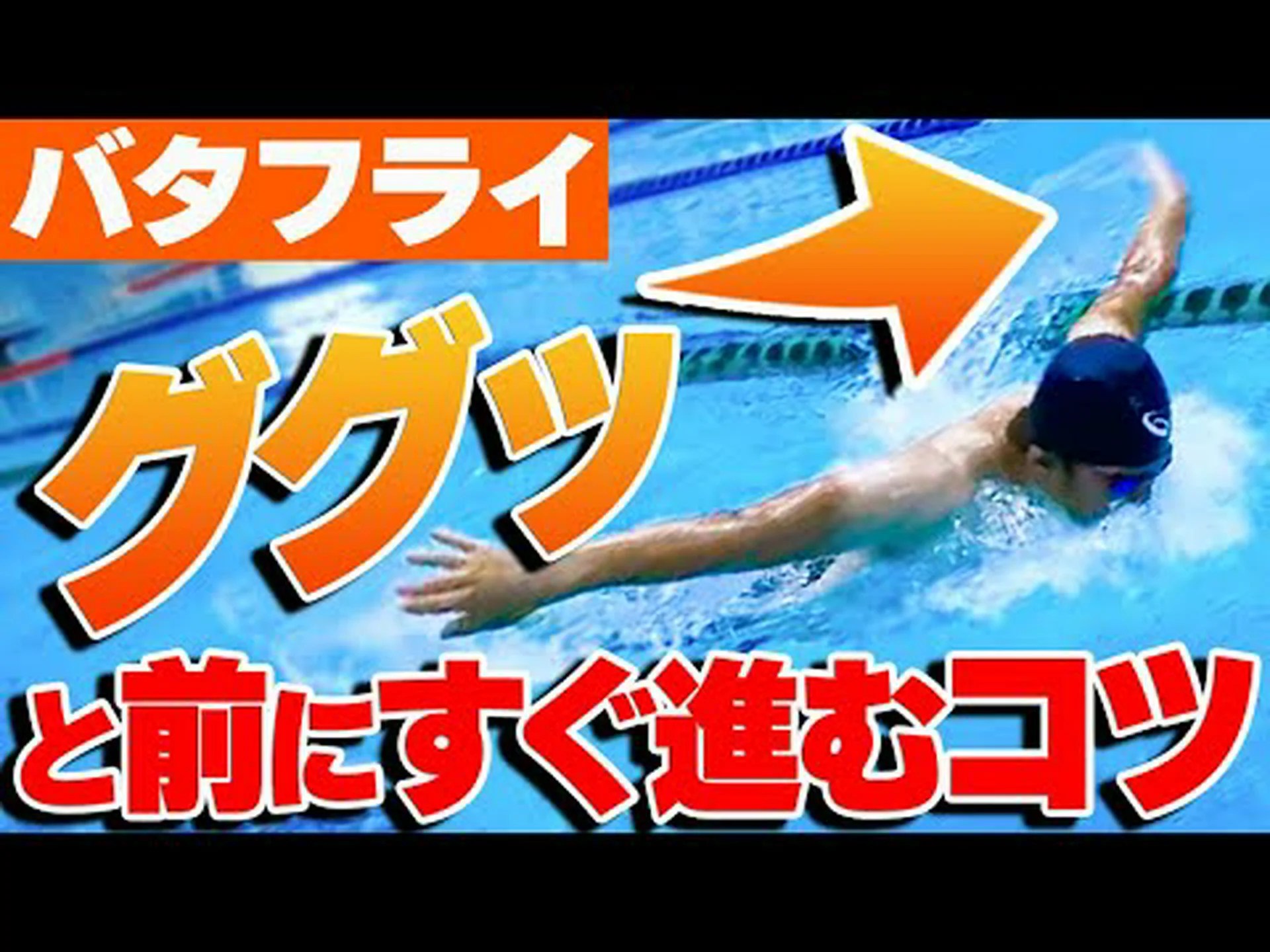 鵜の泳ぎの技 鵜の泳ぎの技