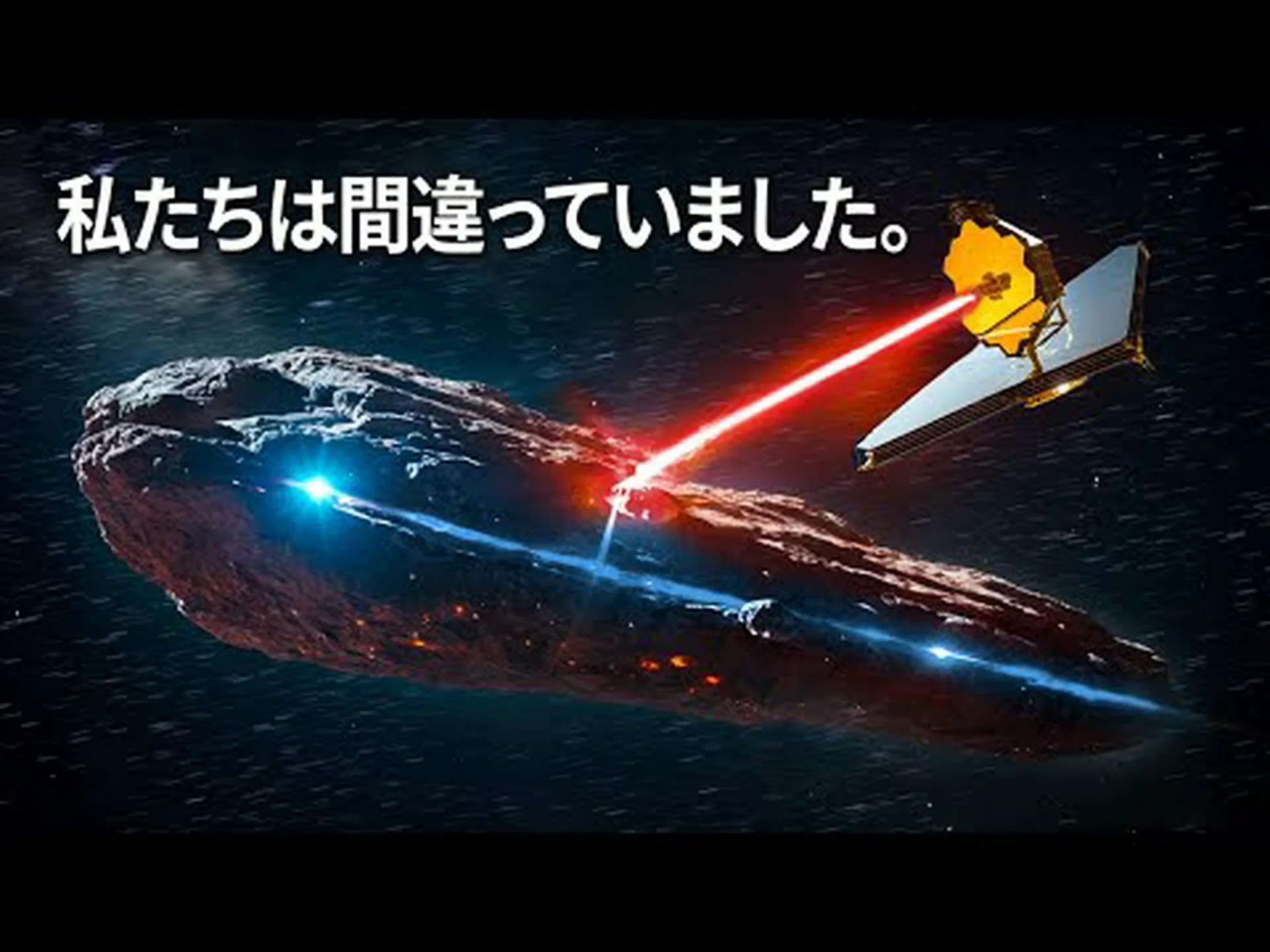 絶滅の危機に瀕したオウムが再び成功への道を歩み始めた 絶滅の危機に瀕したオウムが再び成功への道を歩み始めた