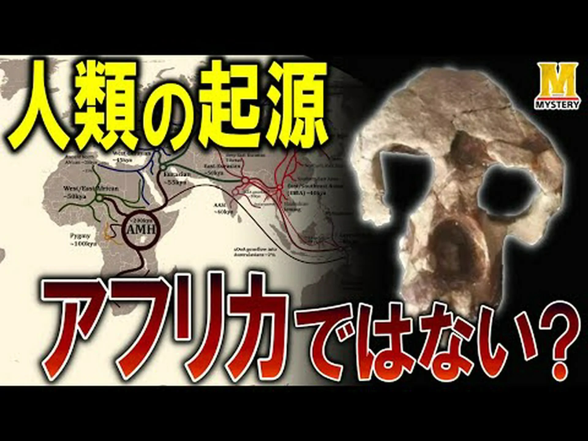 アフリカの進化の証人 アフリカの進化の証人