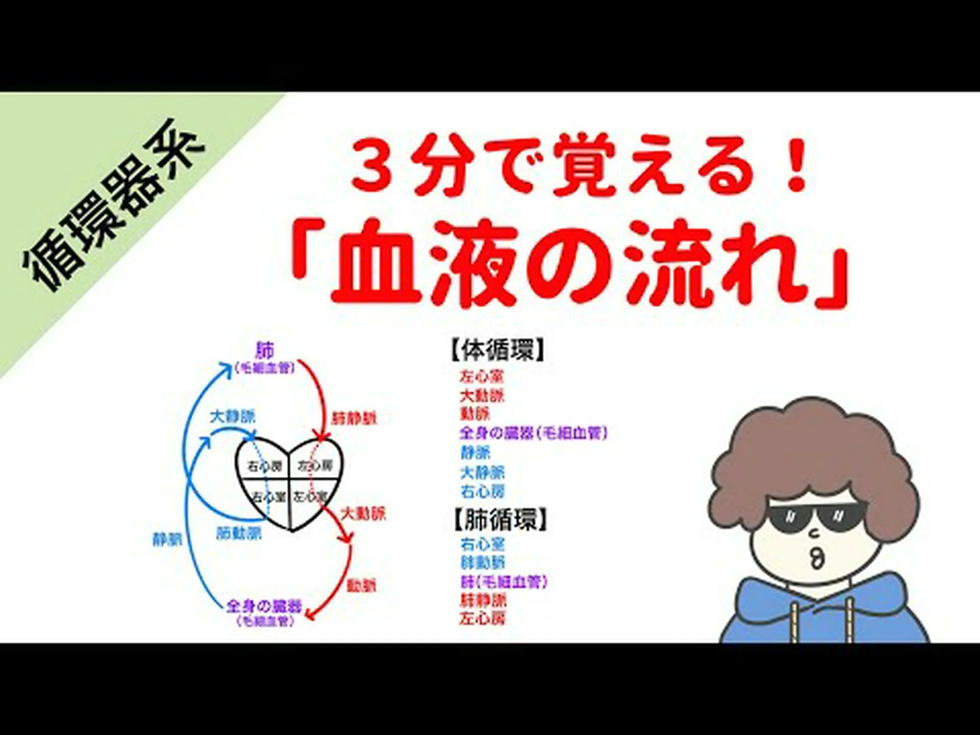 「試験管から」人工肺動脈 「試験管から」人工肺動脈