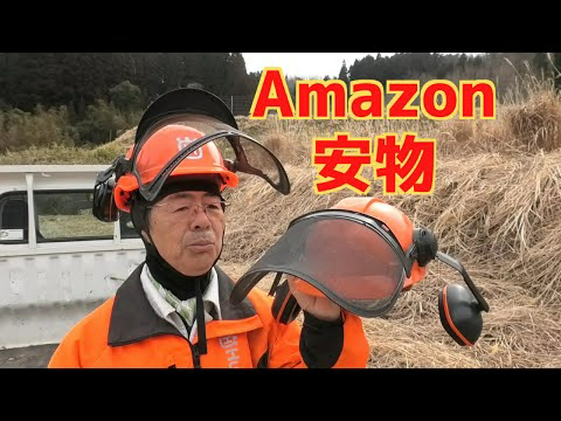 種の保護: 新しい草刈り技術が昆虫を保護 種の保護: 新しい草刈り技術が昆虫を保護