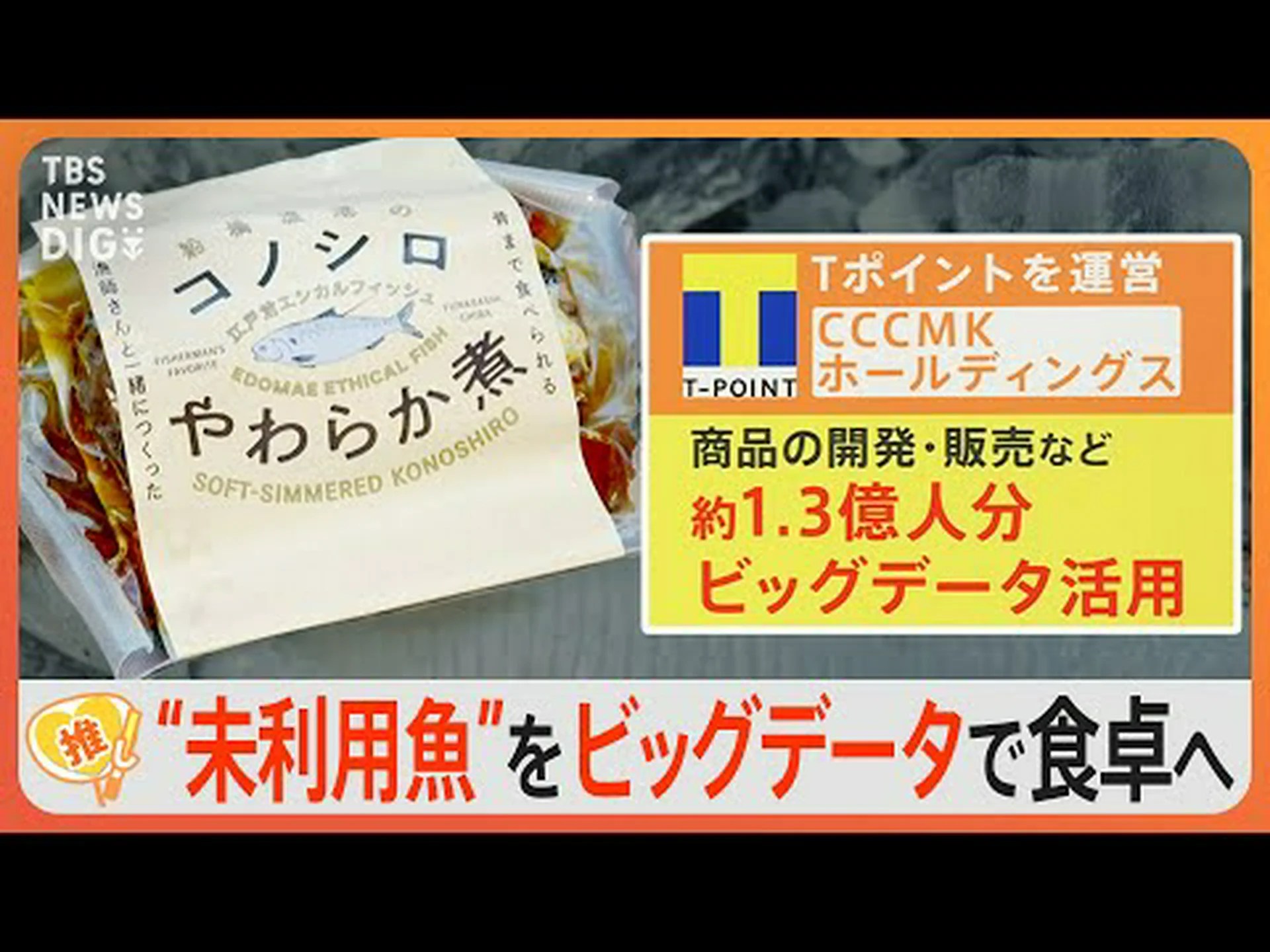 船舶運河の小さな湾は魚の豊富さを促進することを目的としています 船舶運河の小さな湾は魚の豊富さを促進することを目的としています