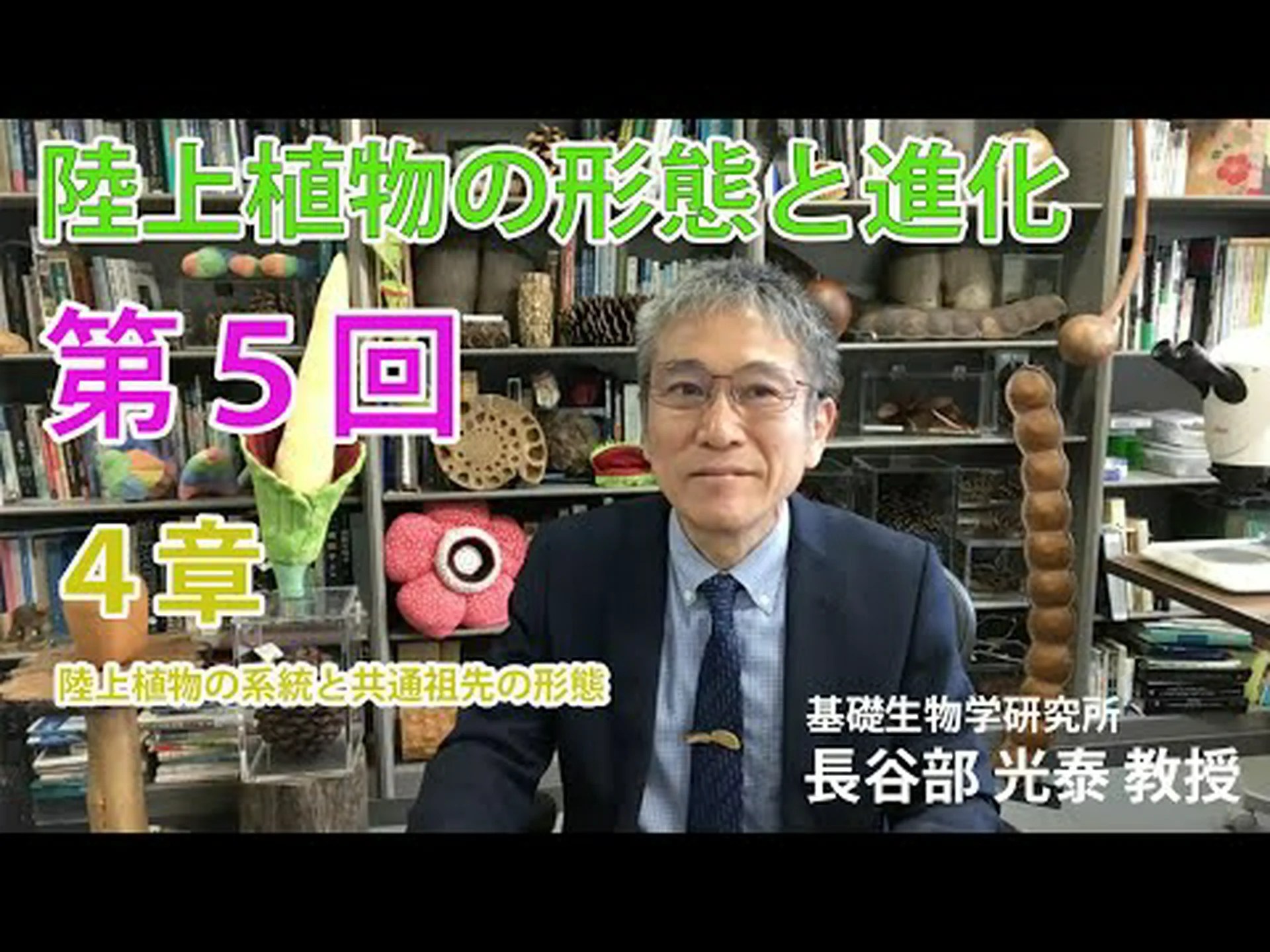 陸上植物の祖先は誰ですか? 陸上植物の祖先は誰ですか?